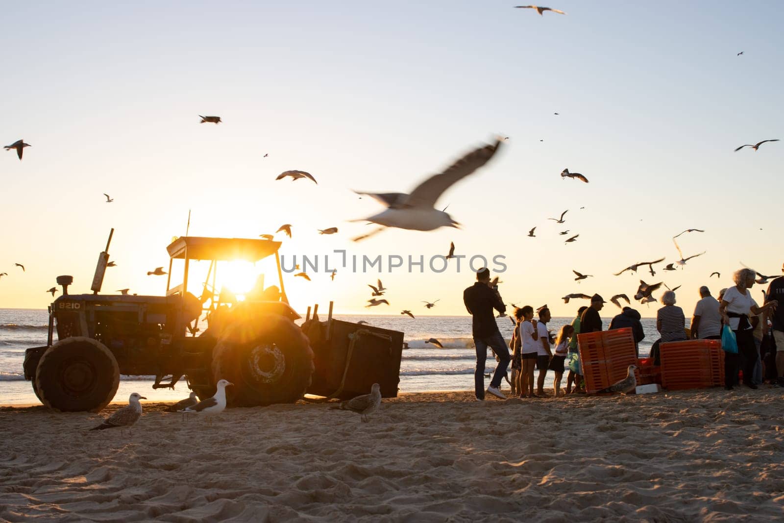 14 october 2022 Lisbon, Portugal: Men and women are selling freshly caught fish on the beach at bright sunset by Studia72