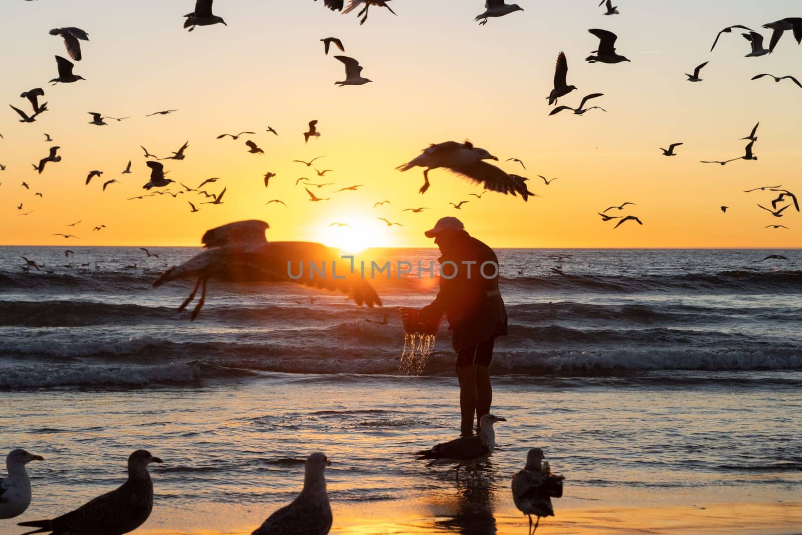 14 october 2022 Lisbon, Portugal: a man stands on the seashore at a bright sunset and washes the caught fish while seagulls fly around. Mid shot