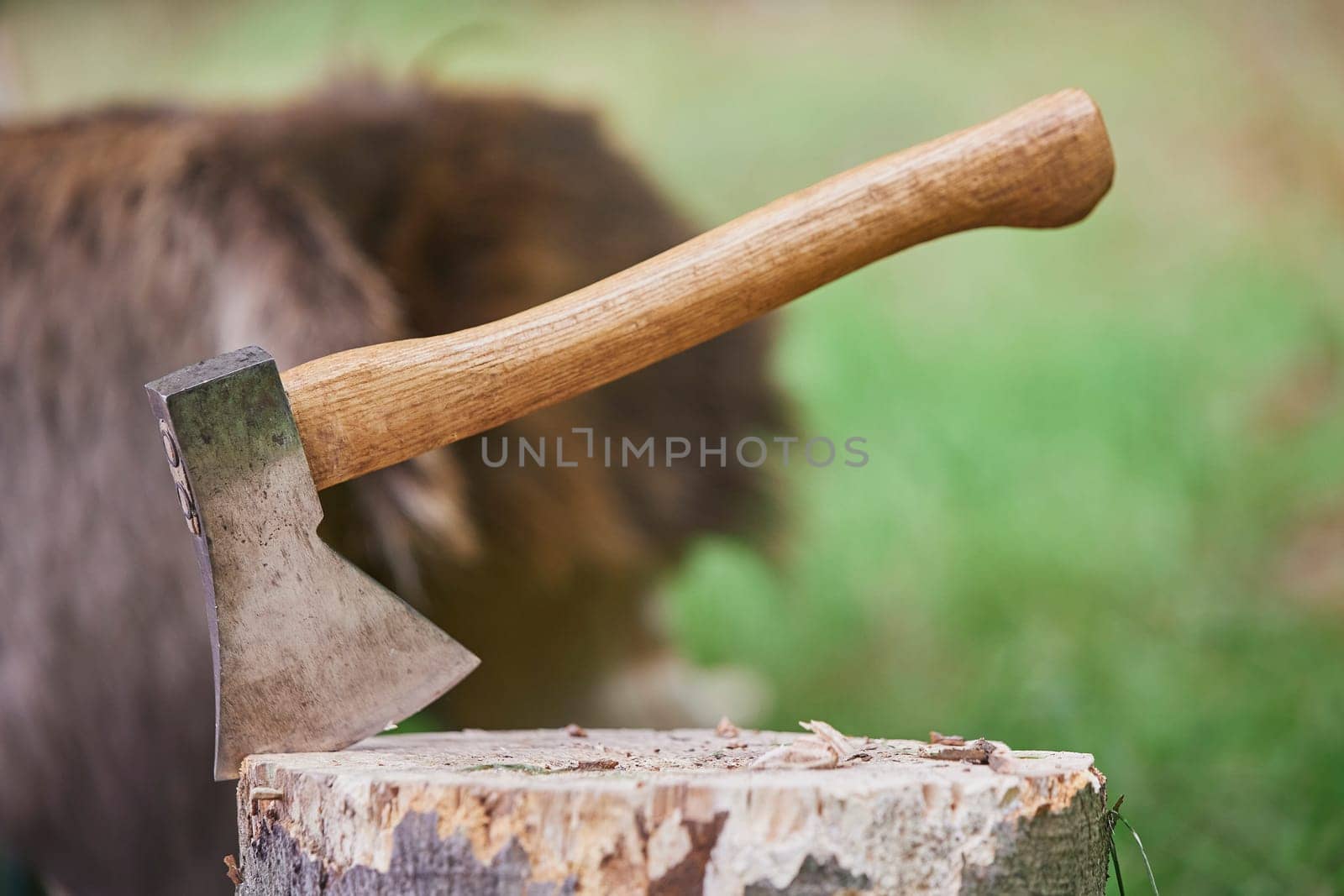 Ancient ax at the Viking Festival in Denmark by Viktor_Osypenko