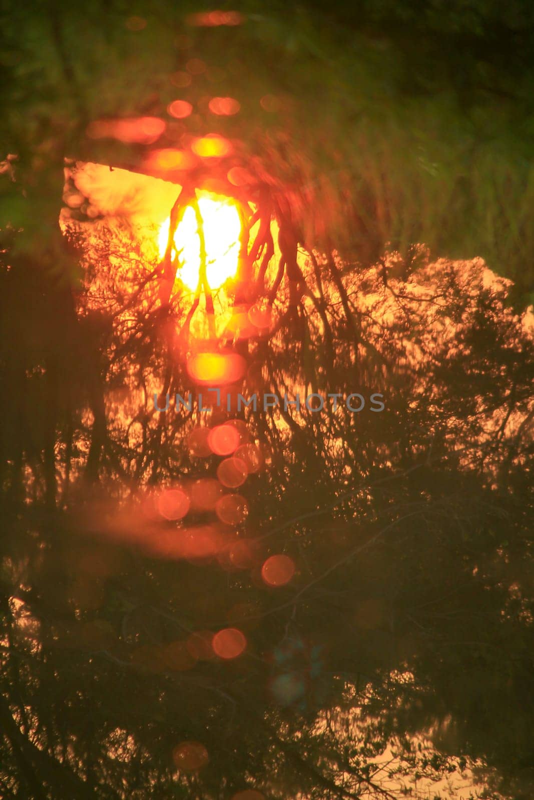 Silhouette reflecting surface of the sunset in the evening.