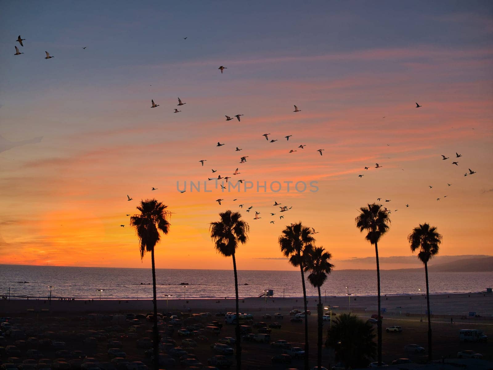 A flock of birds flying over a beach at sunset. Photo of a mesmerizing sunset over a beautiful beach with a flock of birds gracefully soaring through the vibrant sky
