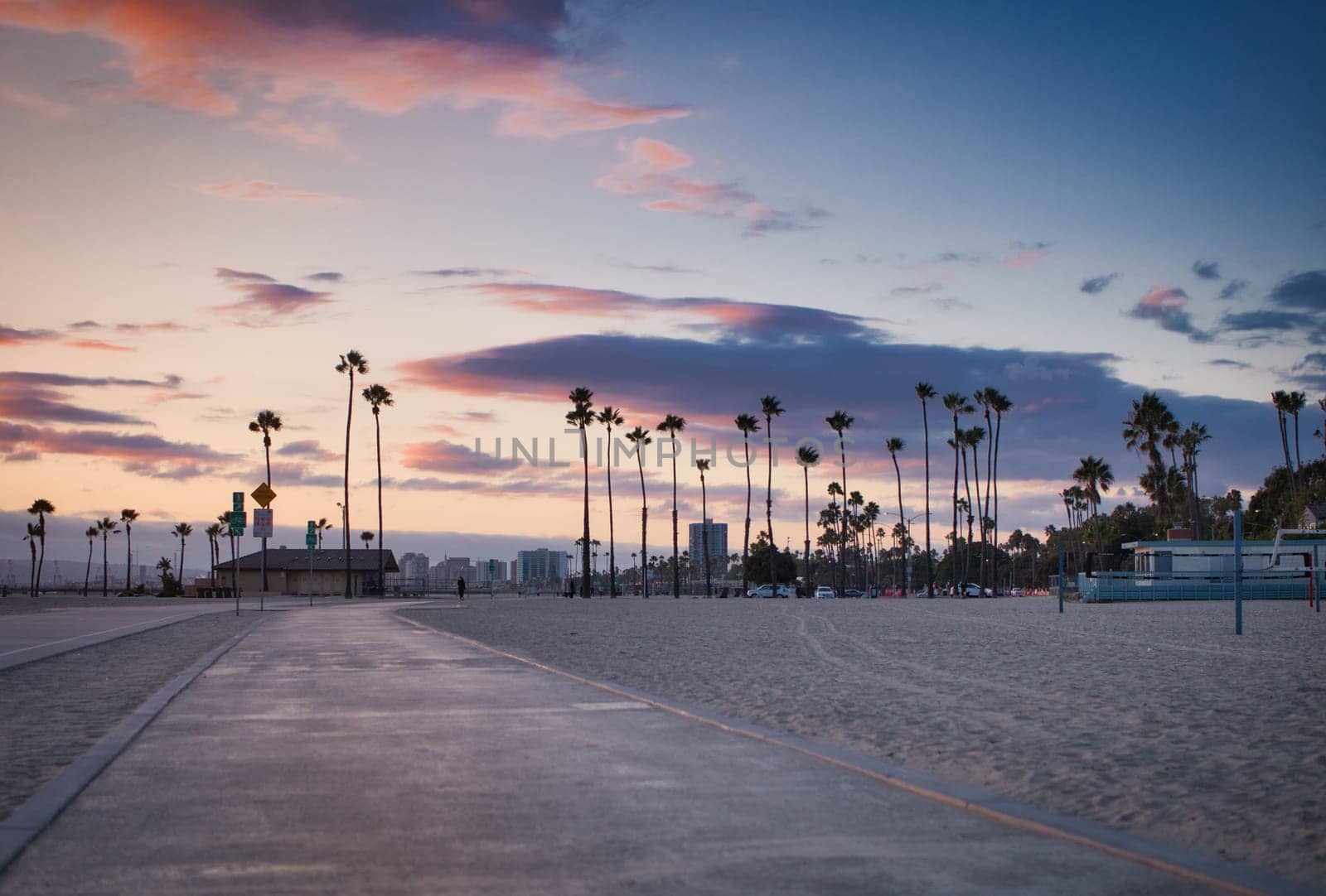 Palm trees line the beach as the sun sets