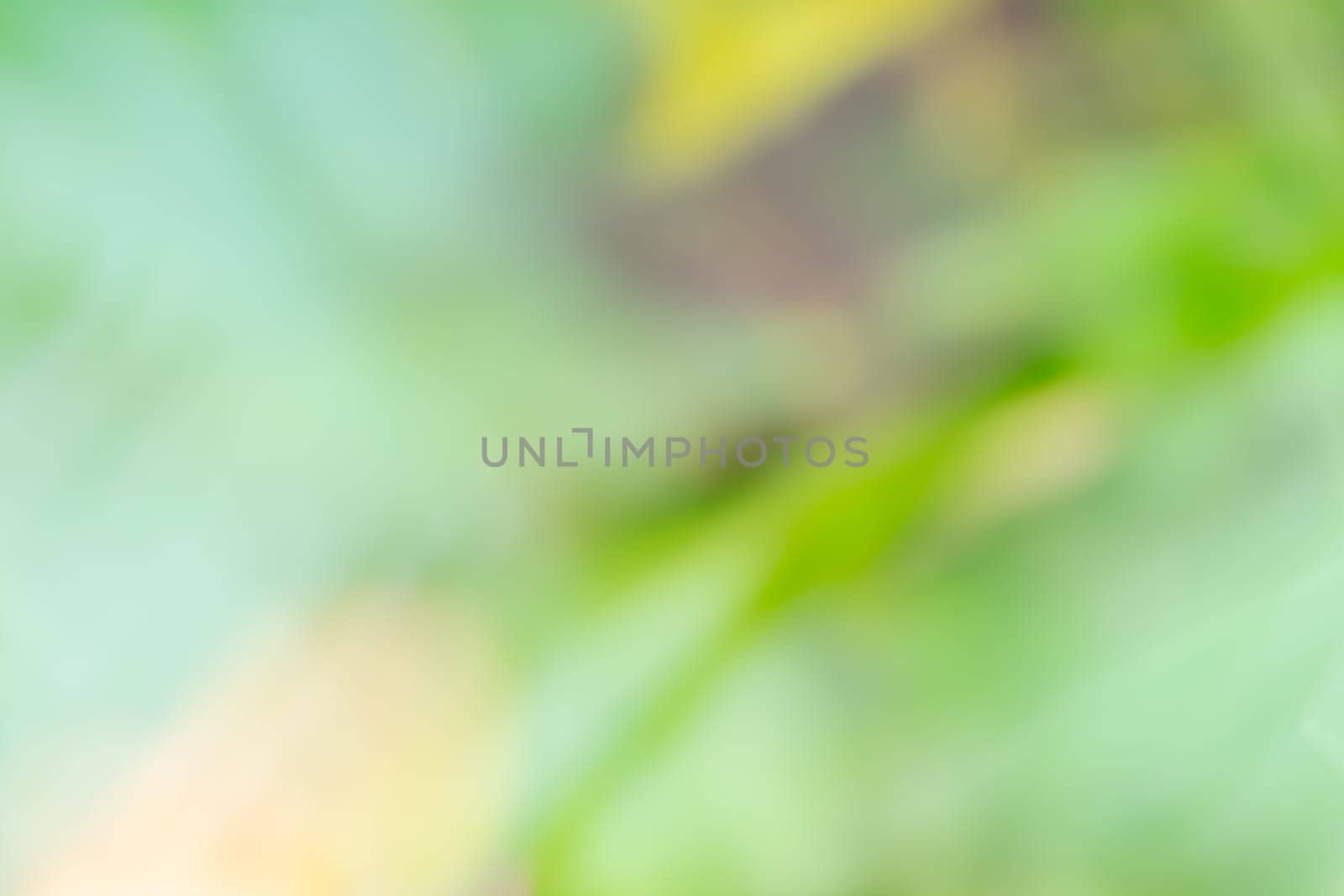 Blurred juicy abstract green background with gradient. Backdrop