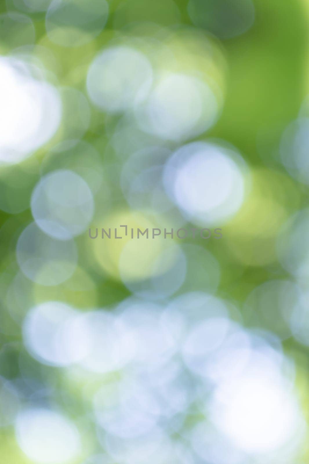 Vertical abstraction from bokeh on a green background from blurred leaves. Backdrop. Spring summer theme.