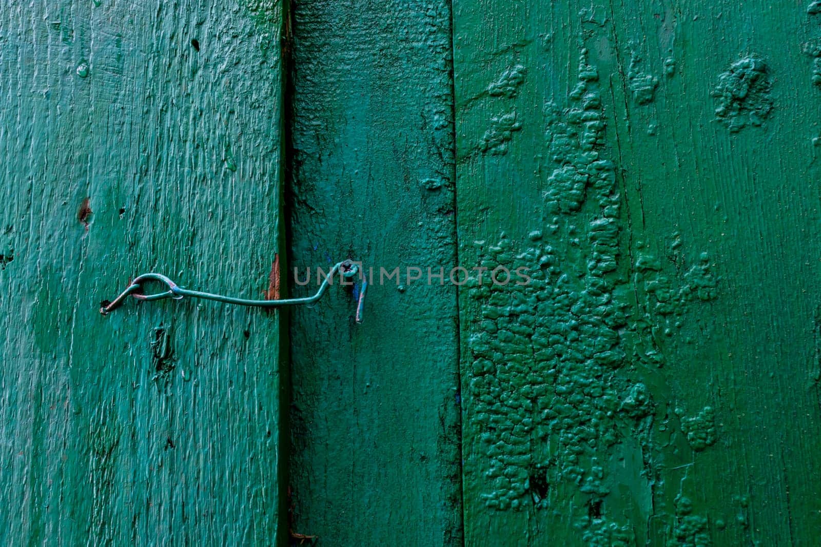 Homemade hook on the gate as a lock. The boards are old painted green.