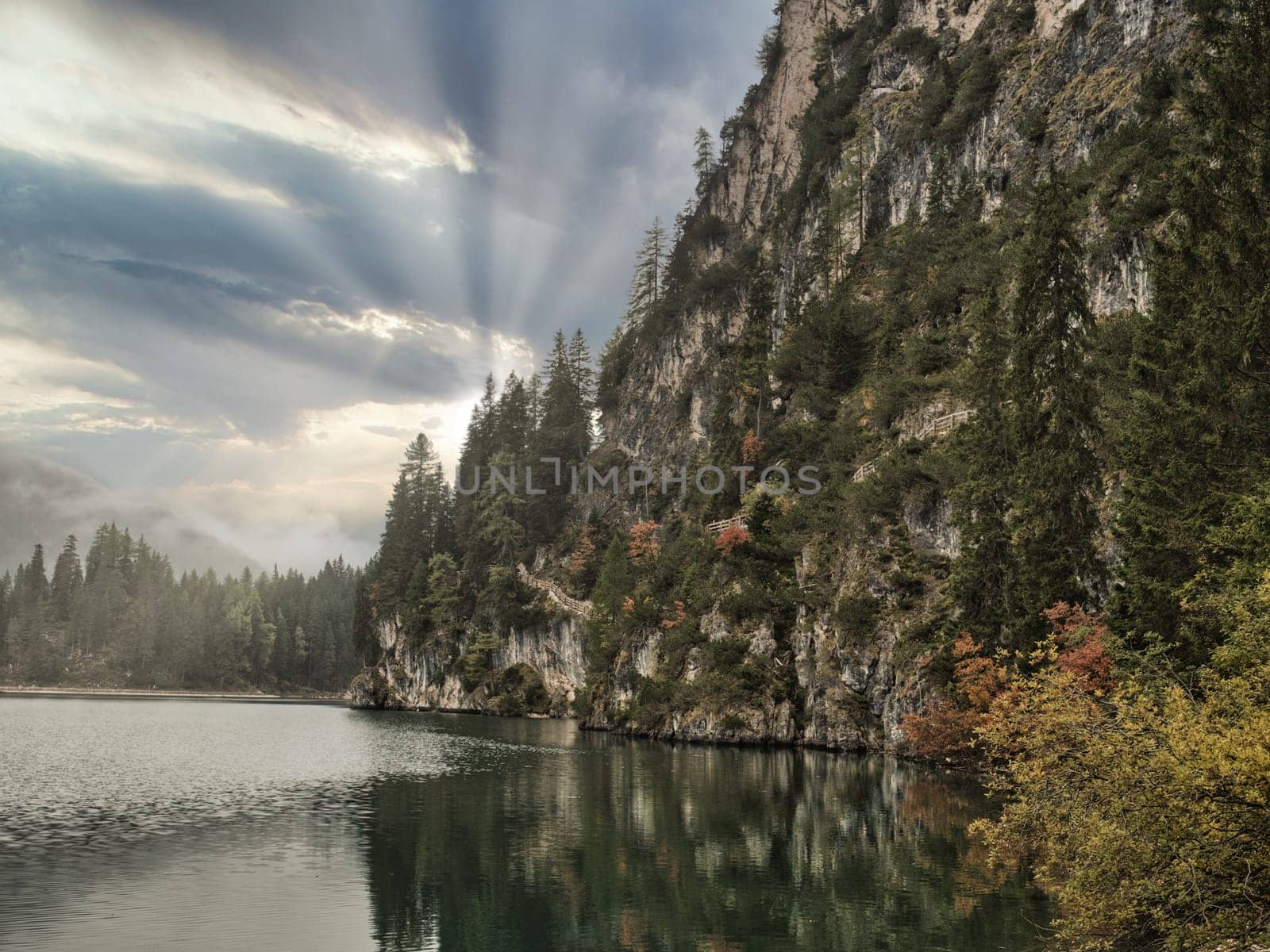 A body of water surrounded by a forest. Photo of a tranquil lake nestled among the lush greenery of the Italian Dolomites