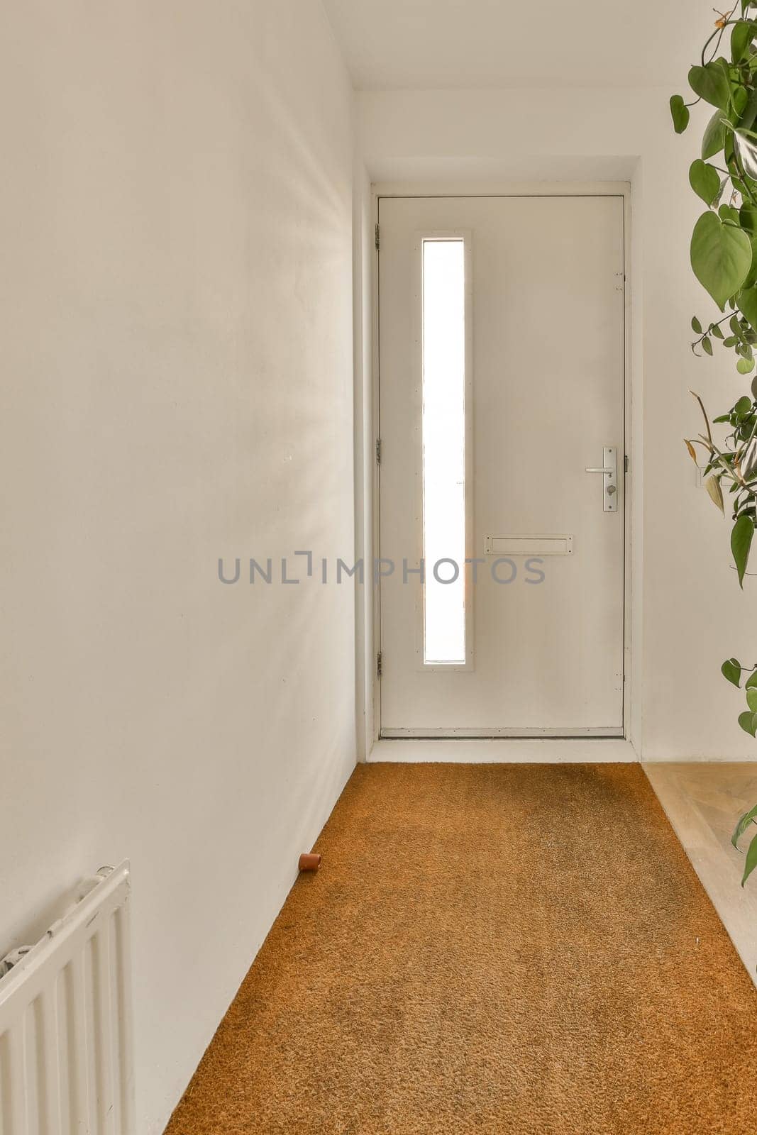 an empty room with a plant in the corner and a door to the right, next to it is a white wall