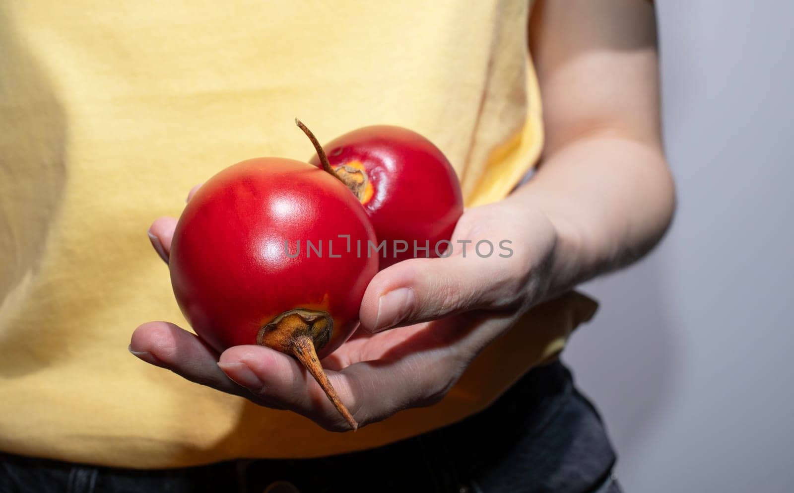 Closeup Two Fresh Tamarillo, Tropical Exotic Fruit in Human Hands On Gray Background. Tree Tomato, Plant Family Solanaceae Or Egg-shaped Edible Fruit. Horizontal Plane by netatsi