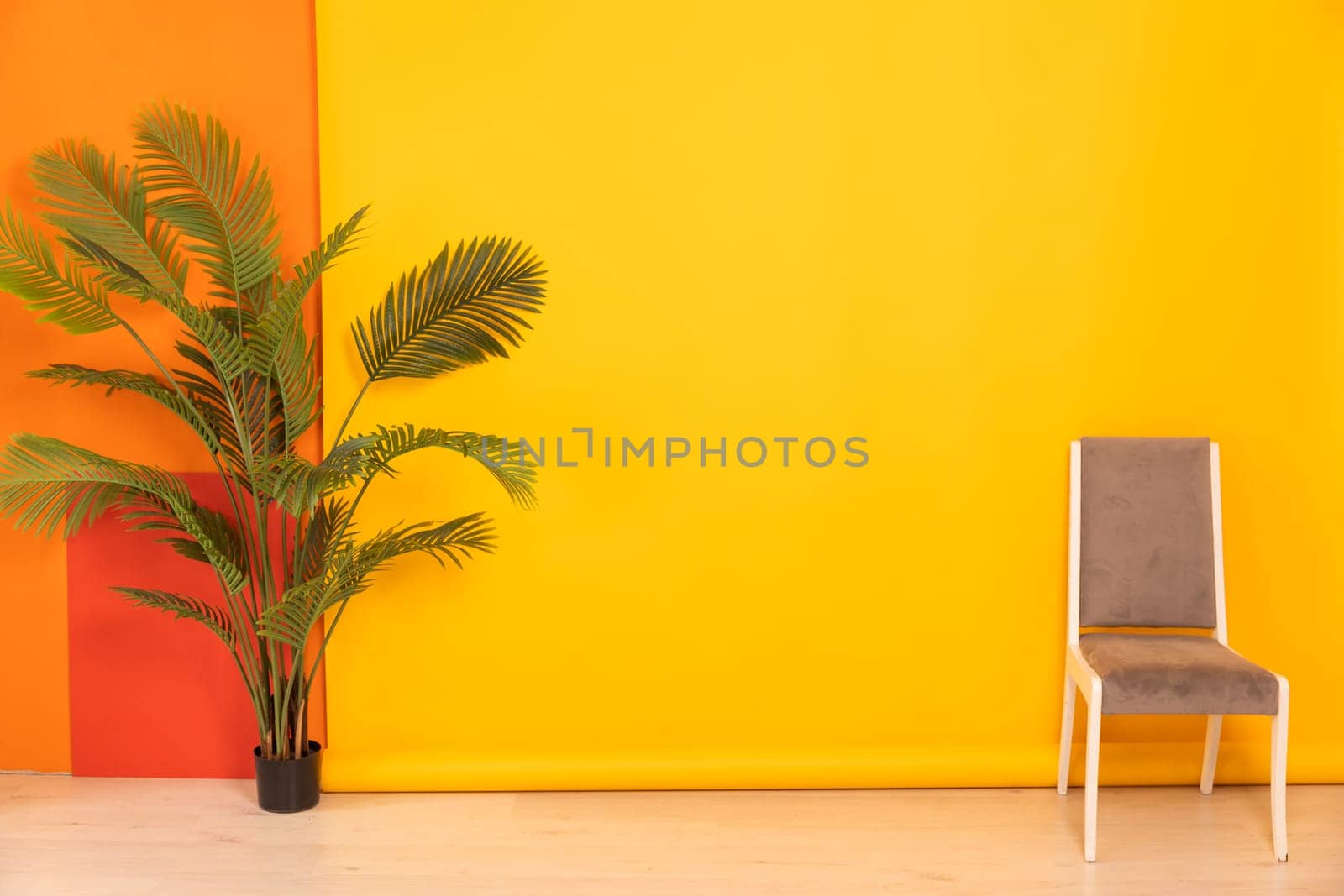 One grey vinage chair and a green palm tree in the interior on a pink background