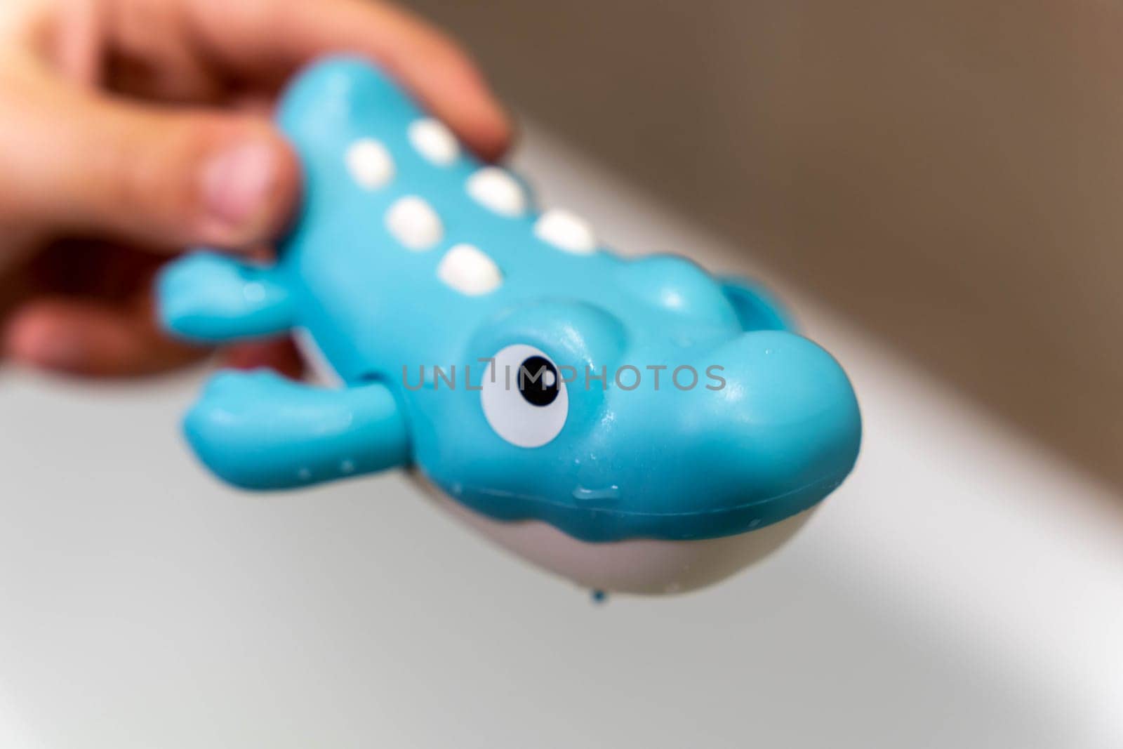 alligator for the bathroom in the hands of a child. A toy for bathing toddlers and children. floating wind-up plastic crocodile toy.