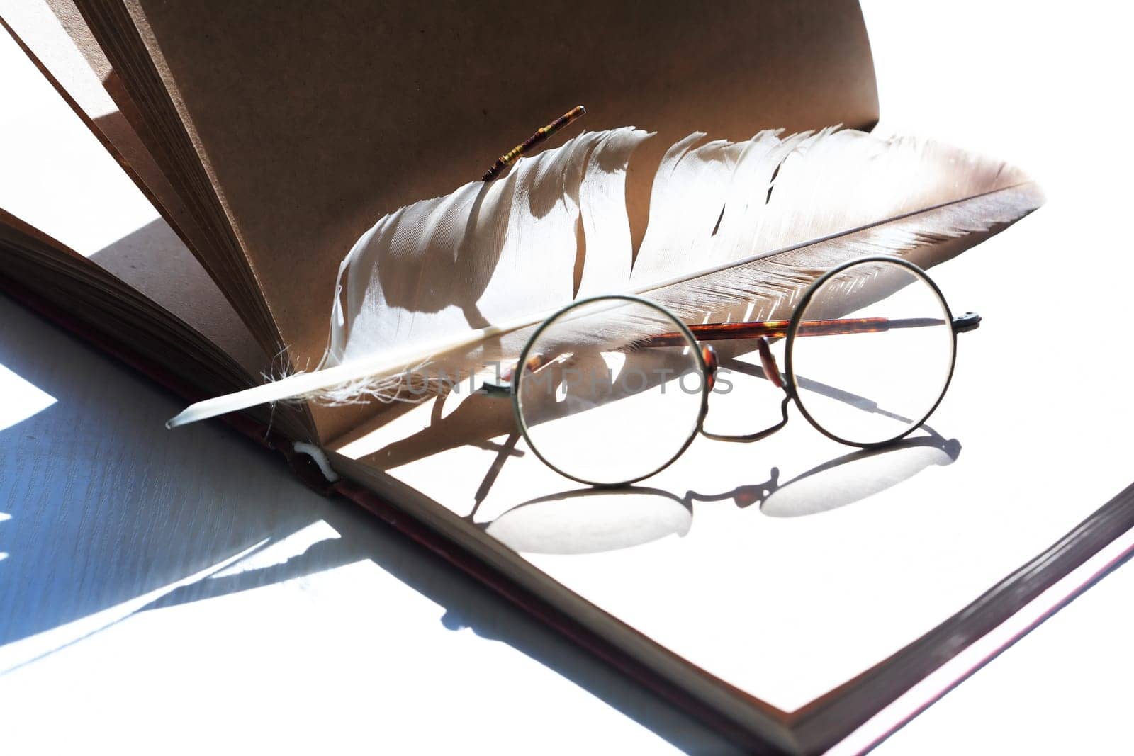 Still life with open book and quill pen under sun light