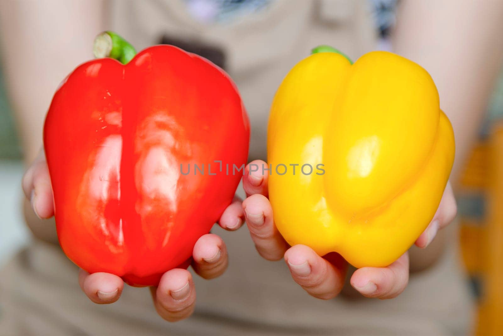 Woman holding red and yellow paprika close-up. Healthy eating or diet concept. High quality photo. High quality photo