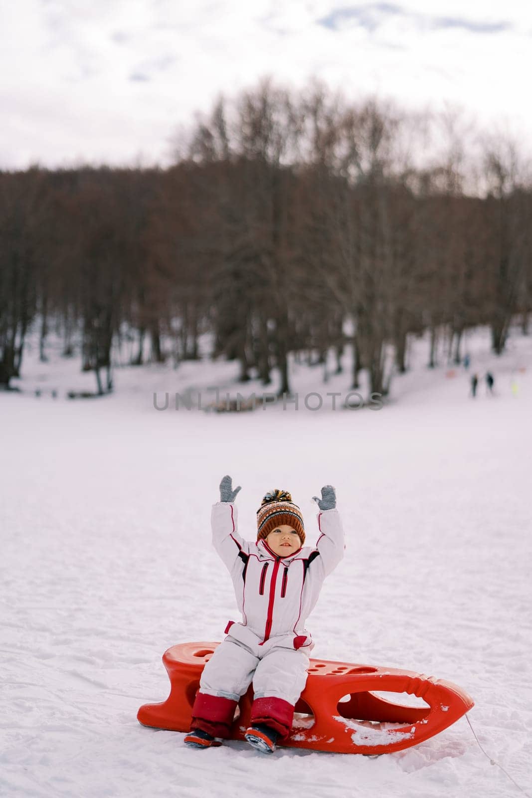 Little girl sits with her hands up on a sled on a snowy plain by Nadtochiy