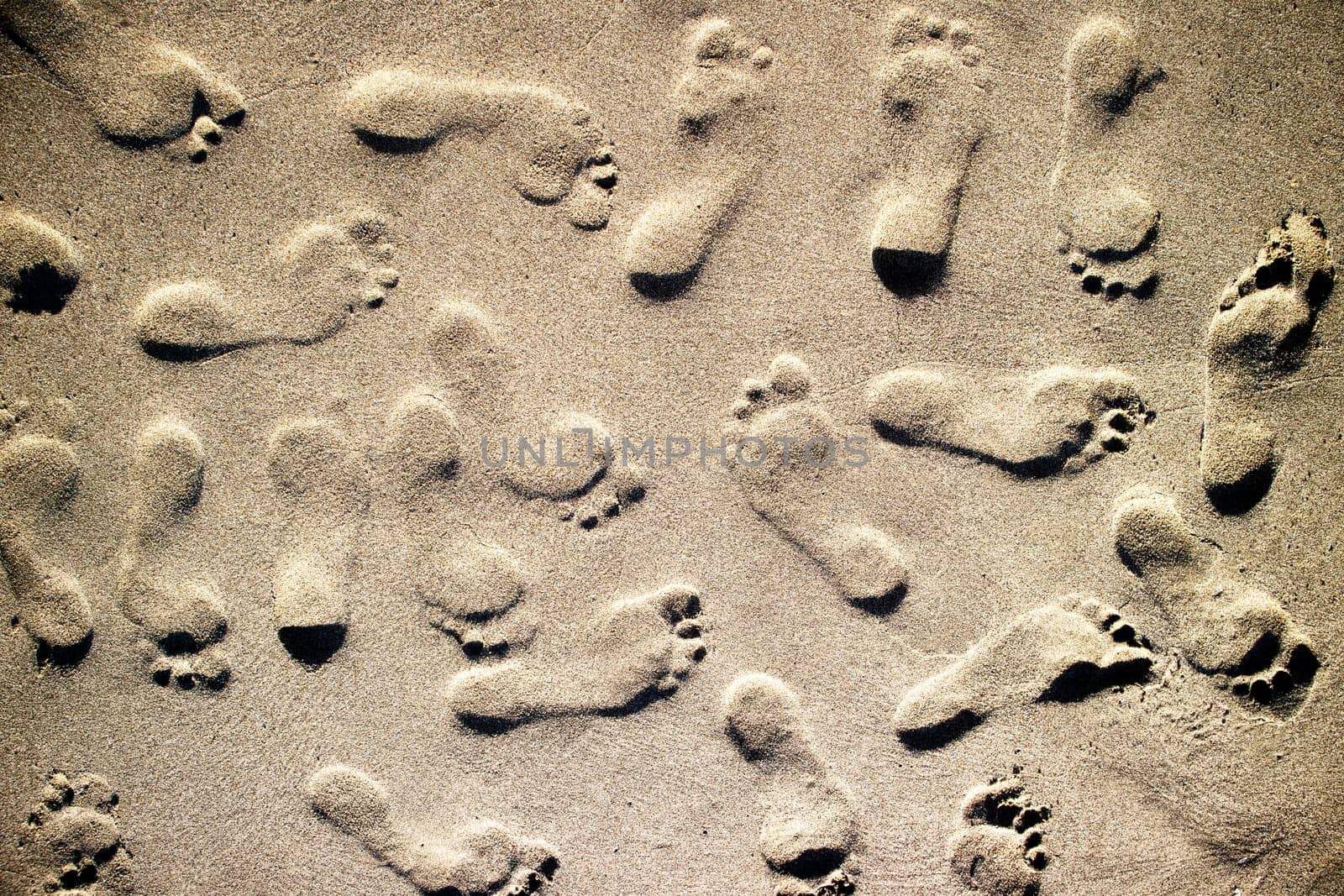 Photographic documentation footprints of people on gray sand 
