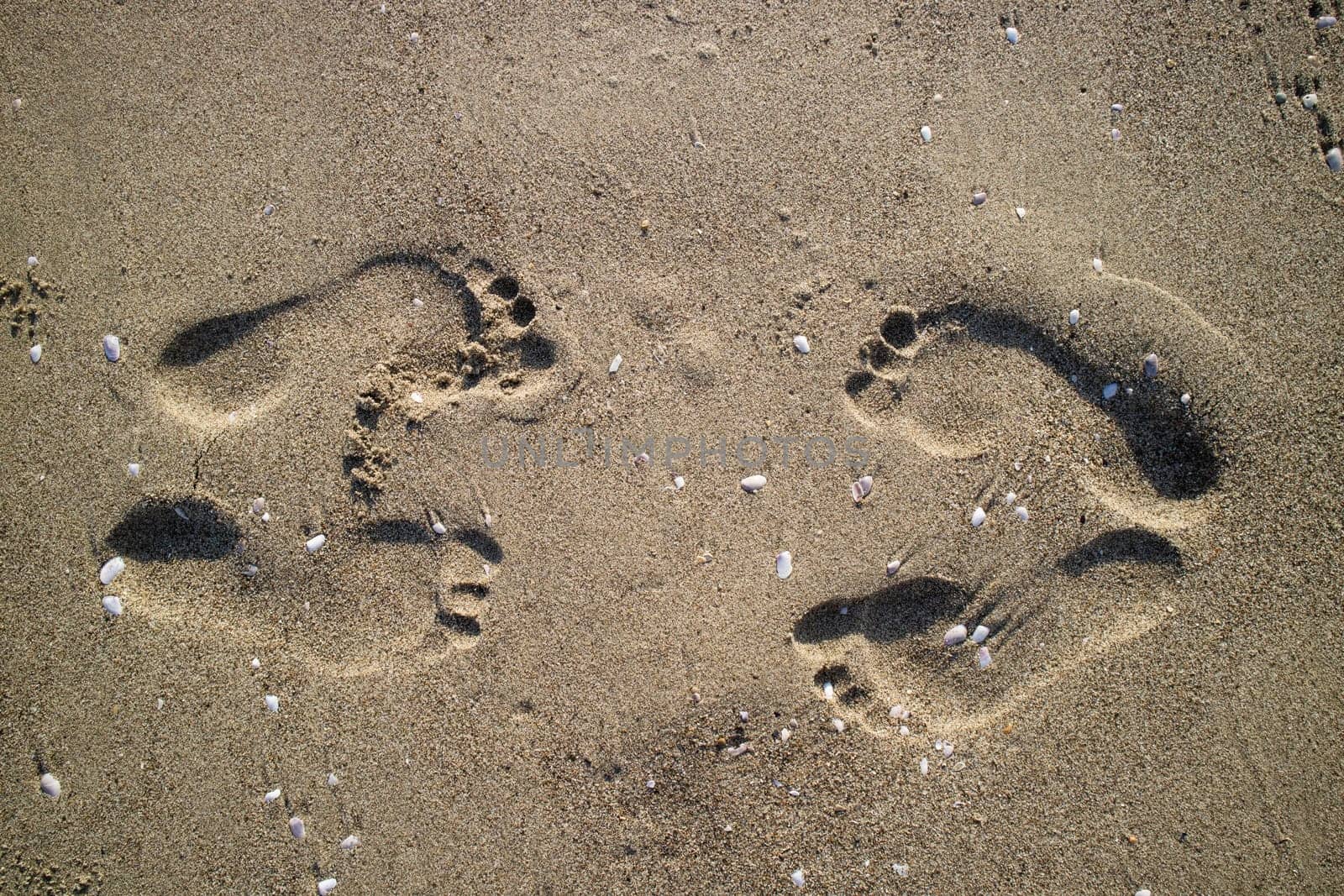 Photographic documentation footprints of people on gray sand 
