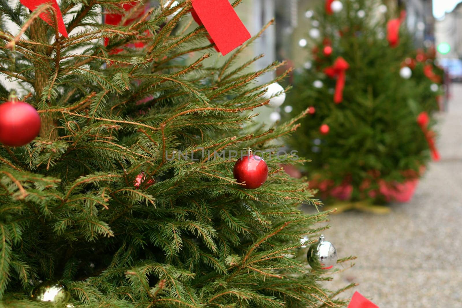 Decorated Christmas trees near shops in the city
