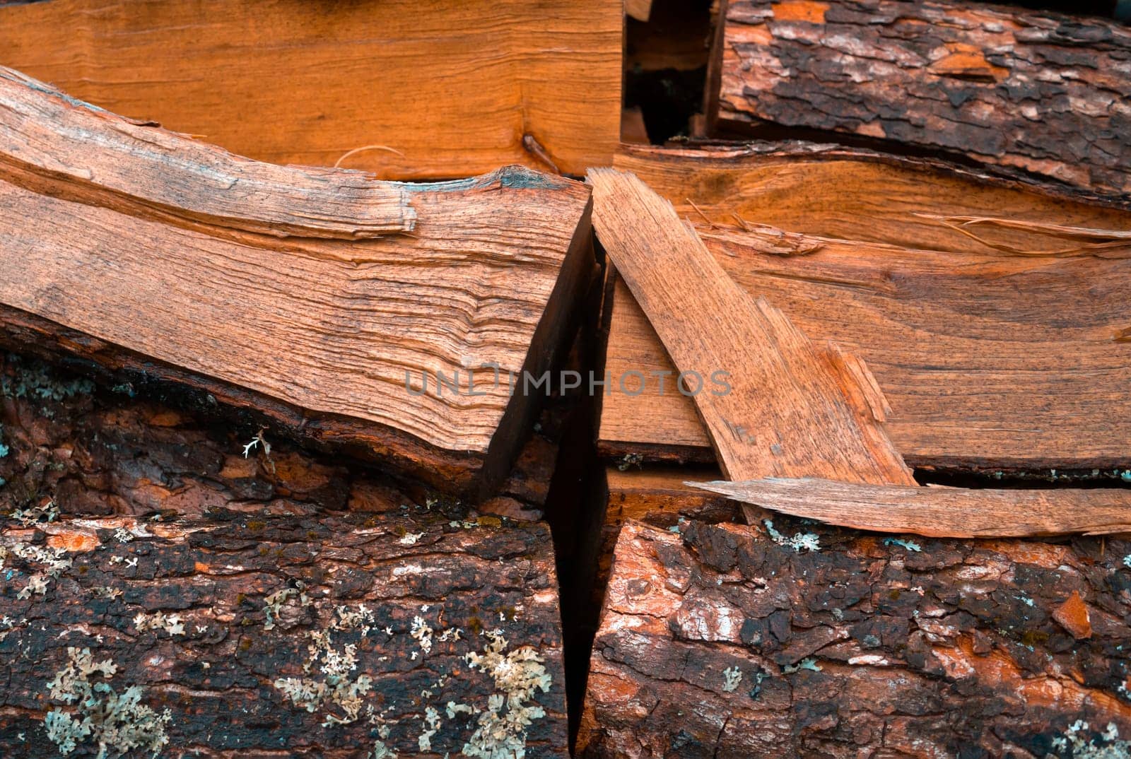 Old tree, logs, firewood harvested for the winter for the heating season, a beautiful background with textured wooden boards close-up.
