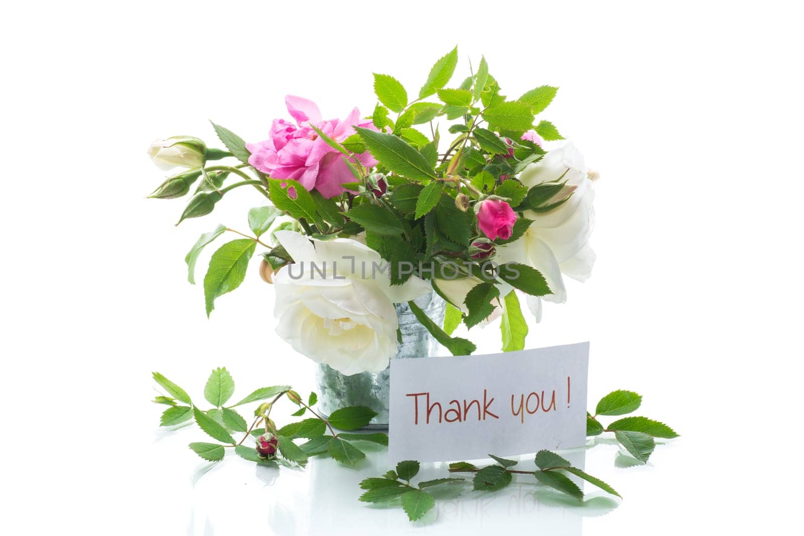 Small bouquet of beautiful summer pink and white roses, isolated on white background.