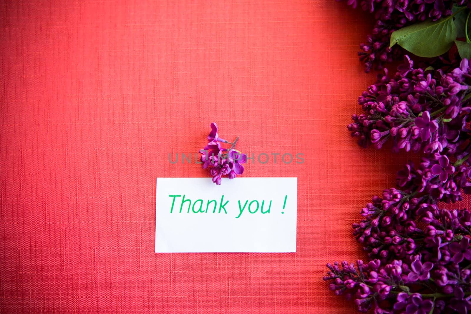 red background with branches of blooming beautiful lilac, with a greeting card.