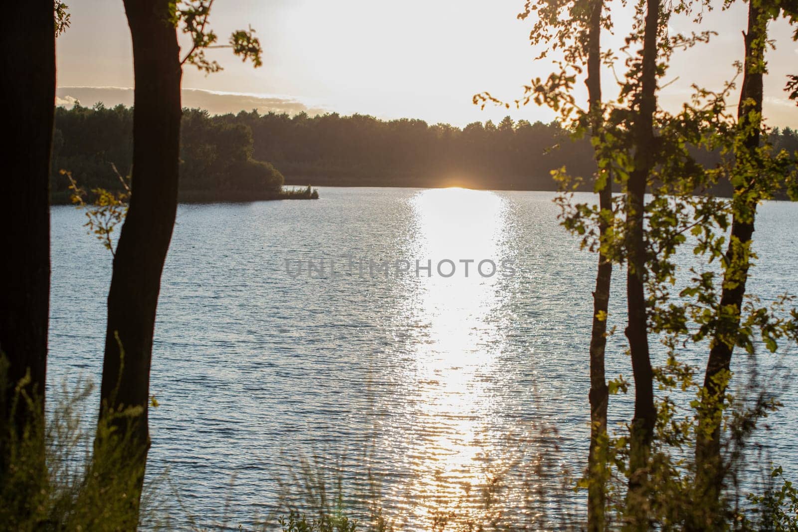 bright view of a beautiful sunset over a forest lake on a summer evening with birch trees in the foreground, sunlit path on the water,reflection of light on the surface of the lake,high quality photo