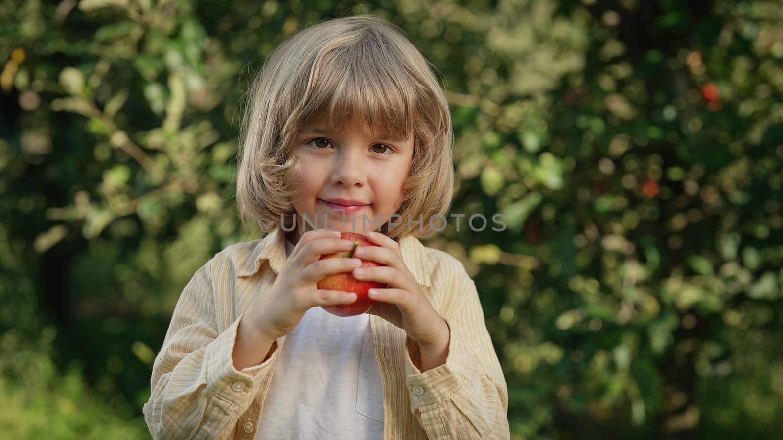 Cute little toddler boy eating ripe red apple in beautiful garden. Son explores plants, nature in autumn. Amazing scene with kid. Childhood concept