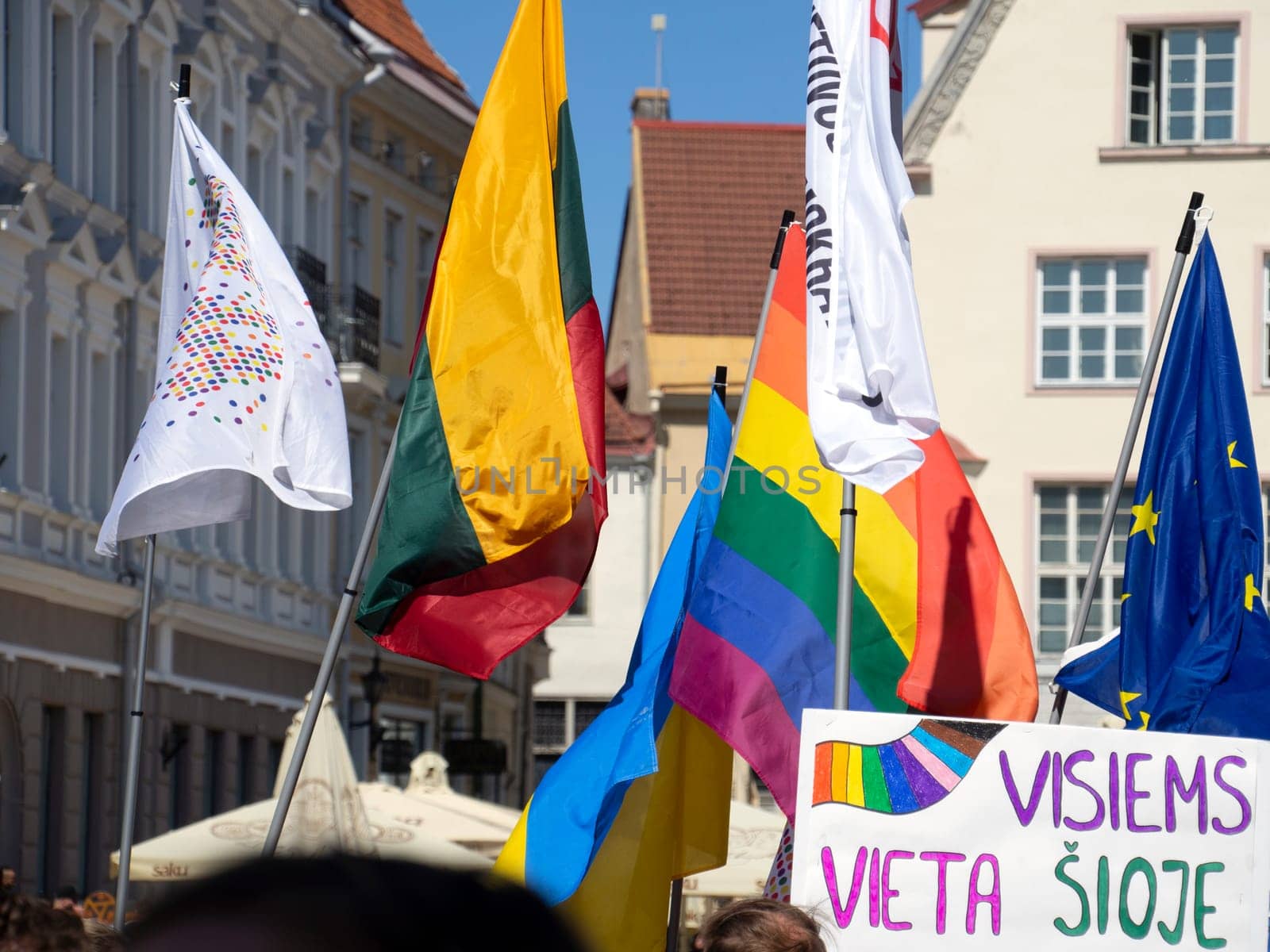 TALLINN, ESTONIA - JULY, 08, 2017: Annual gay pride parade of freedom and diversity, happy participants walking by Dimidov27@mail.ru