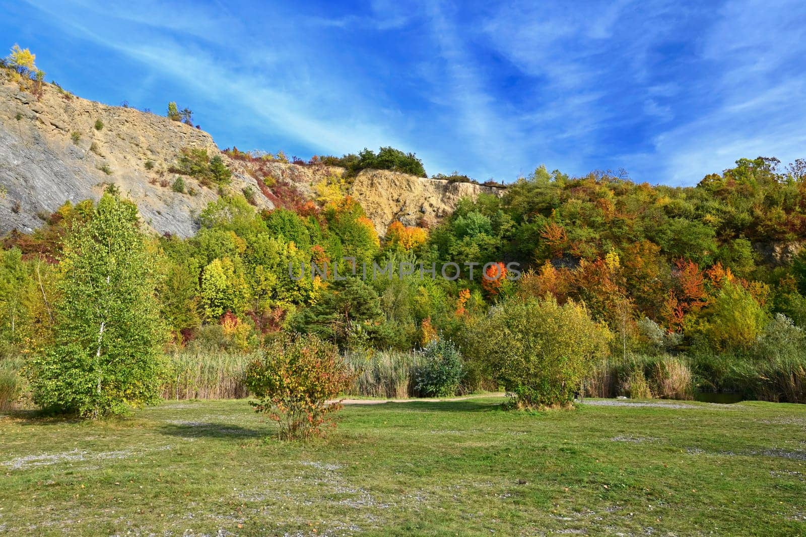 Beautiful colourful autumn landscape. Nature with forest and colourful trees in autumn. Concept for the season and the environment.  by Montypeter