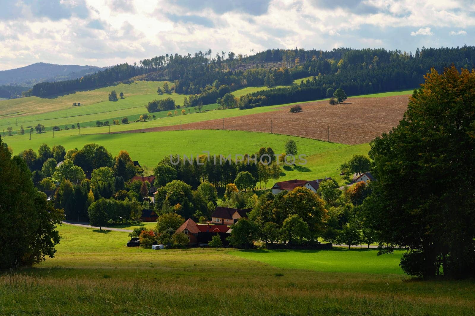 Beautiful colourful autumn landscape. Nature with forest and colourful trees in autumn. Concept for the season and the environment. 