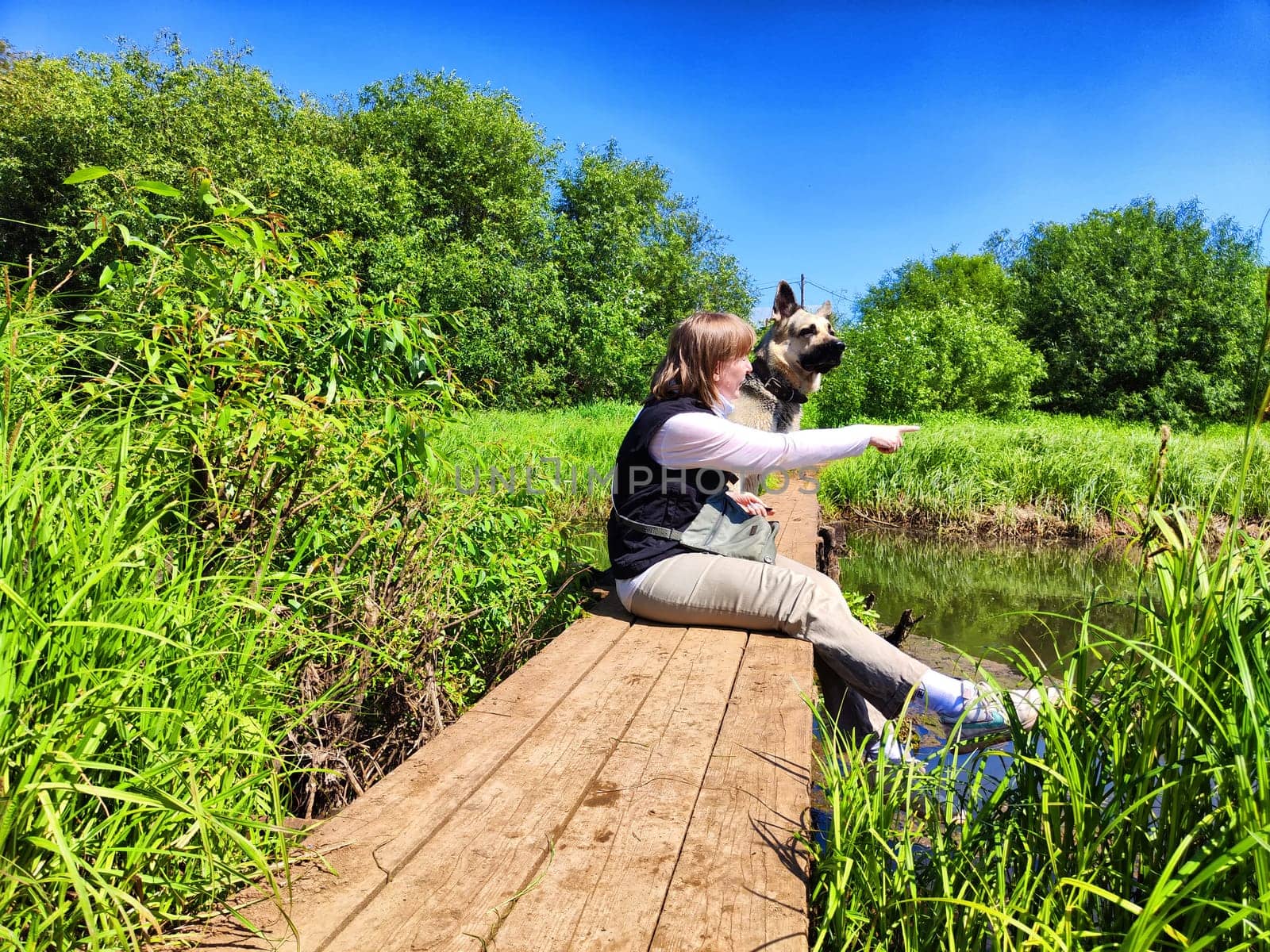 A girl or a woman with a German Shepherd dog on wooden bridge in nature outside, outdoors on a summer day