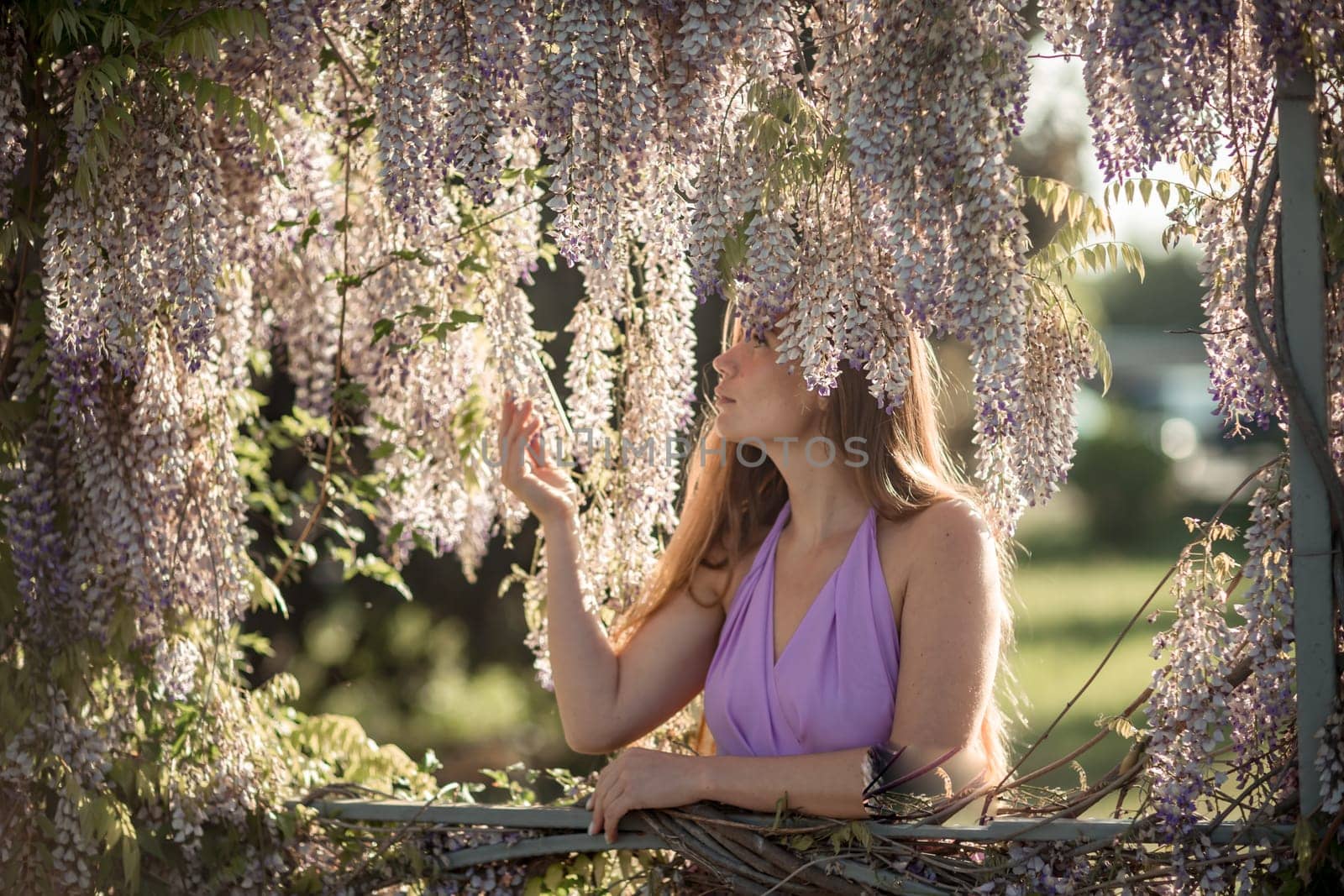 Woman wisteria lilac dress. Thoughtful happy mature woman in purple dress surrounded by chinese wisteria.