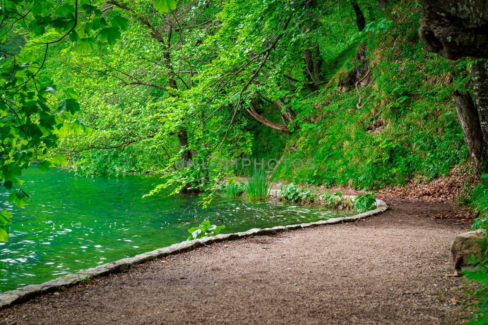 walking trails in Plitvice Lakes National Park in Croatia, enjoying nature, beautiful forest by PhotoTime
