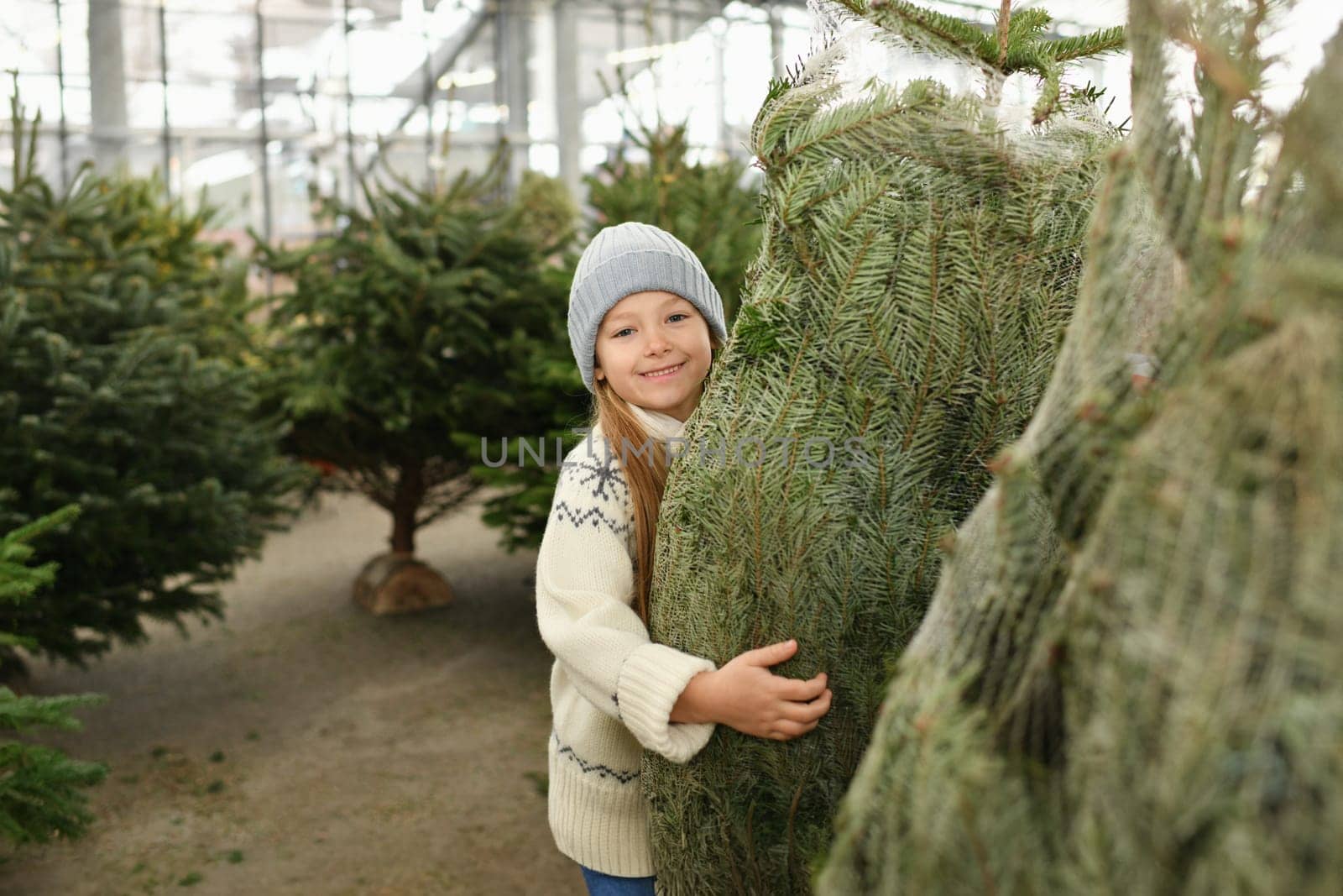 A girl chooses for buying a Christmas tree in the market.