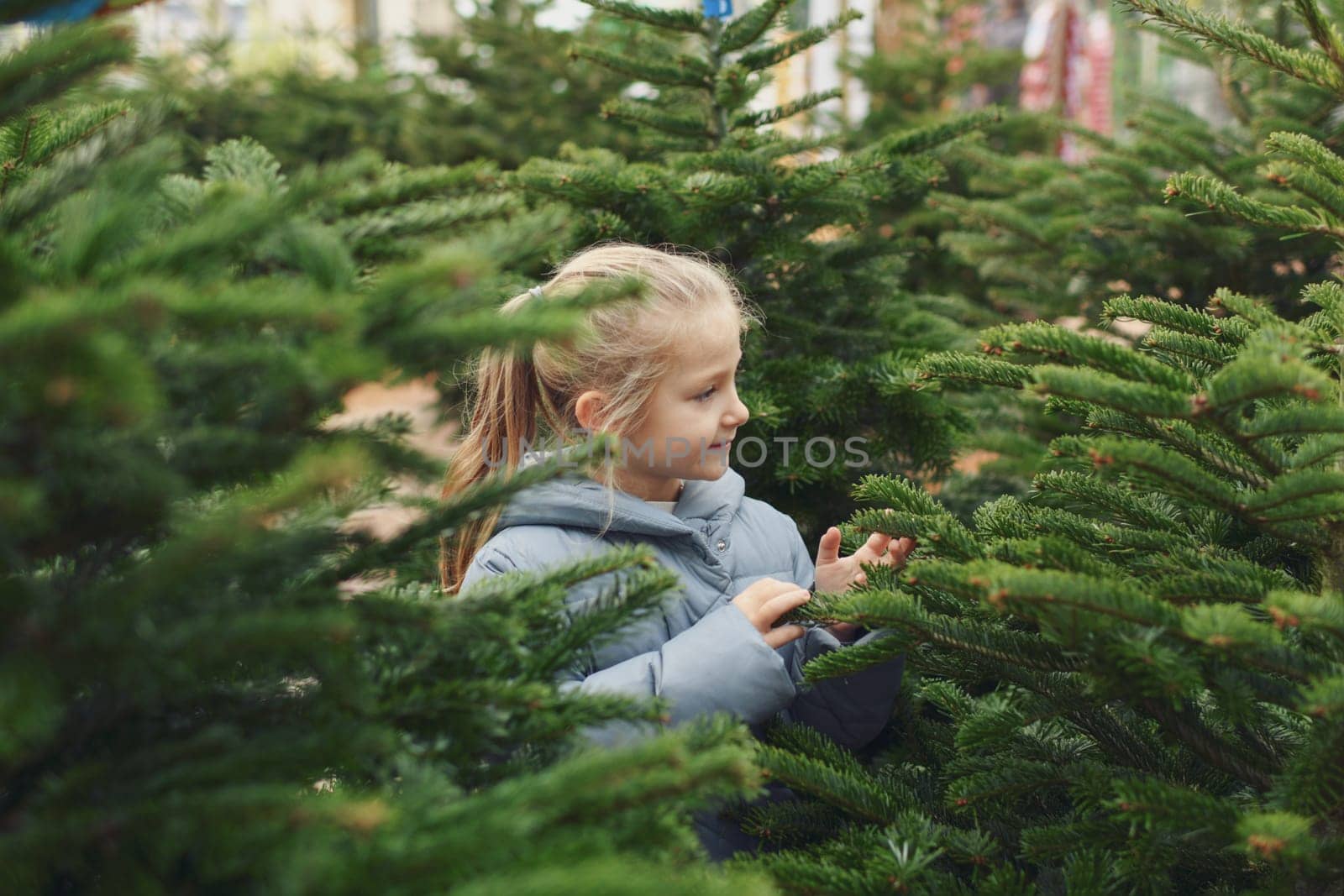 Small girl chooses a Christmas tree in the shop.