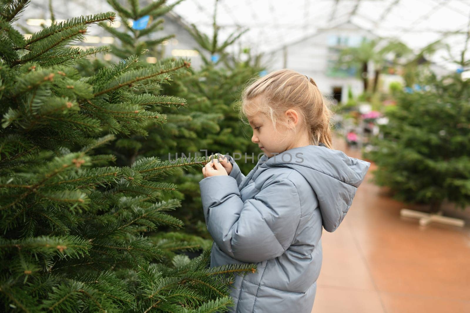 Small girl chooses a Christmas tree in the shop.