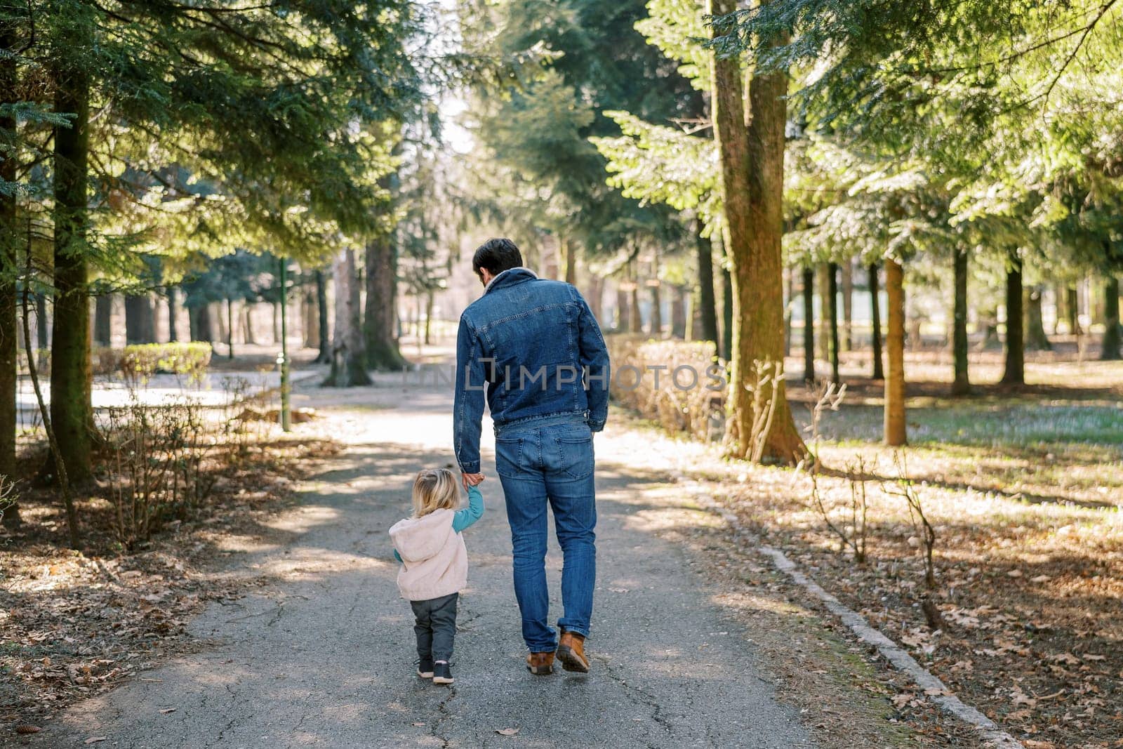Dad leads a little girl by the hand through a sunny spring park. Back view. High quality photo
