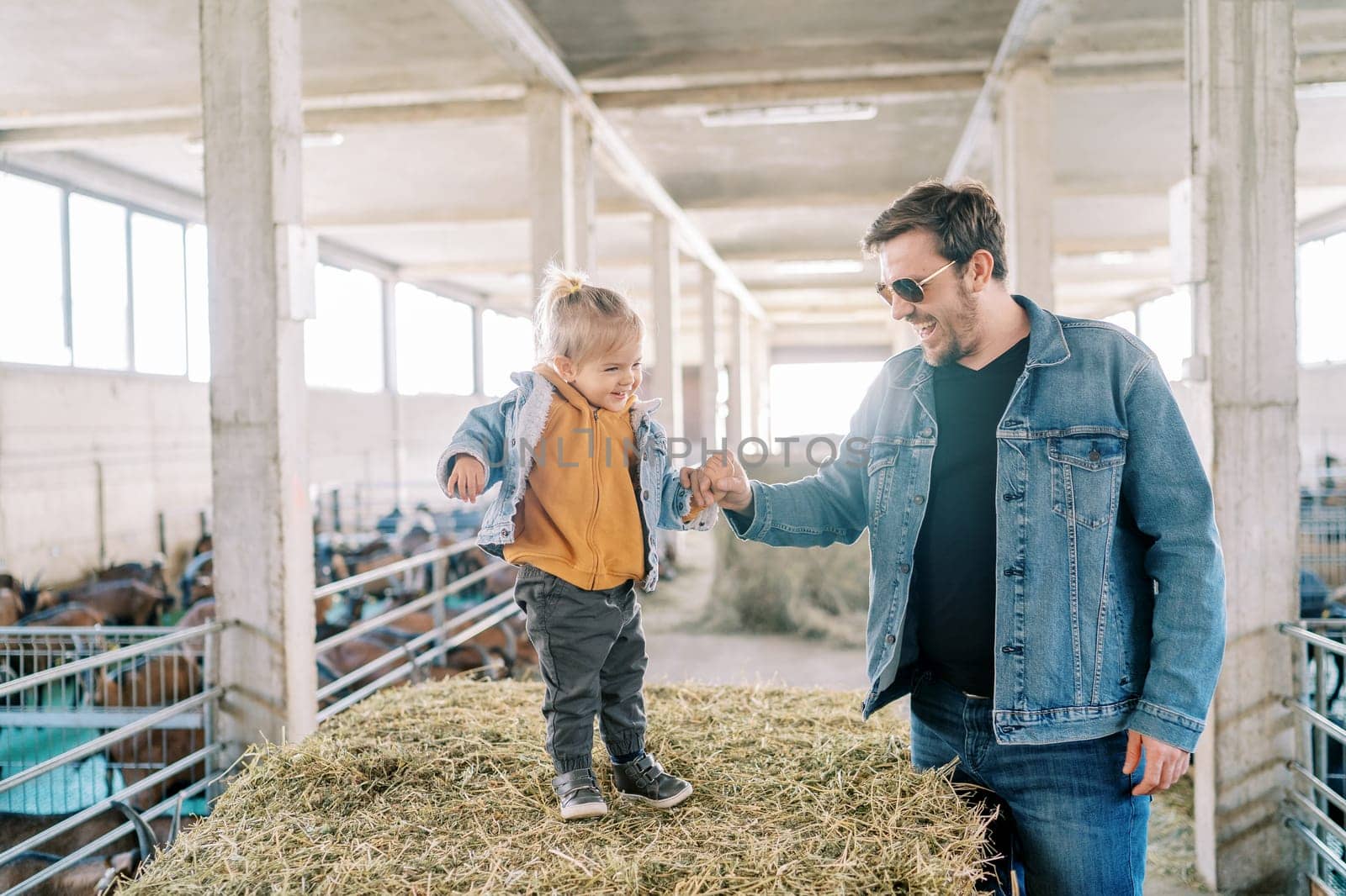 Smiling dad holding the hand of a little girl standing on a bale of hay at the farm. High quality photo