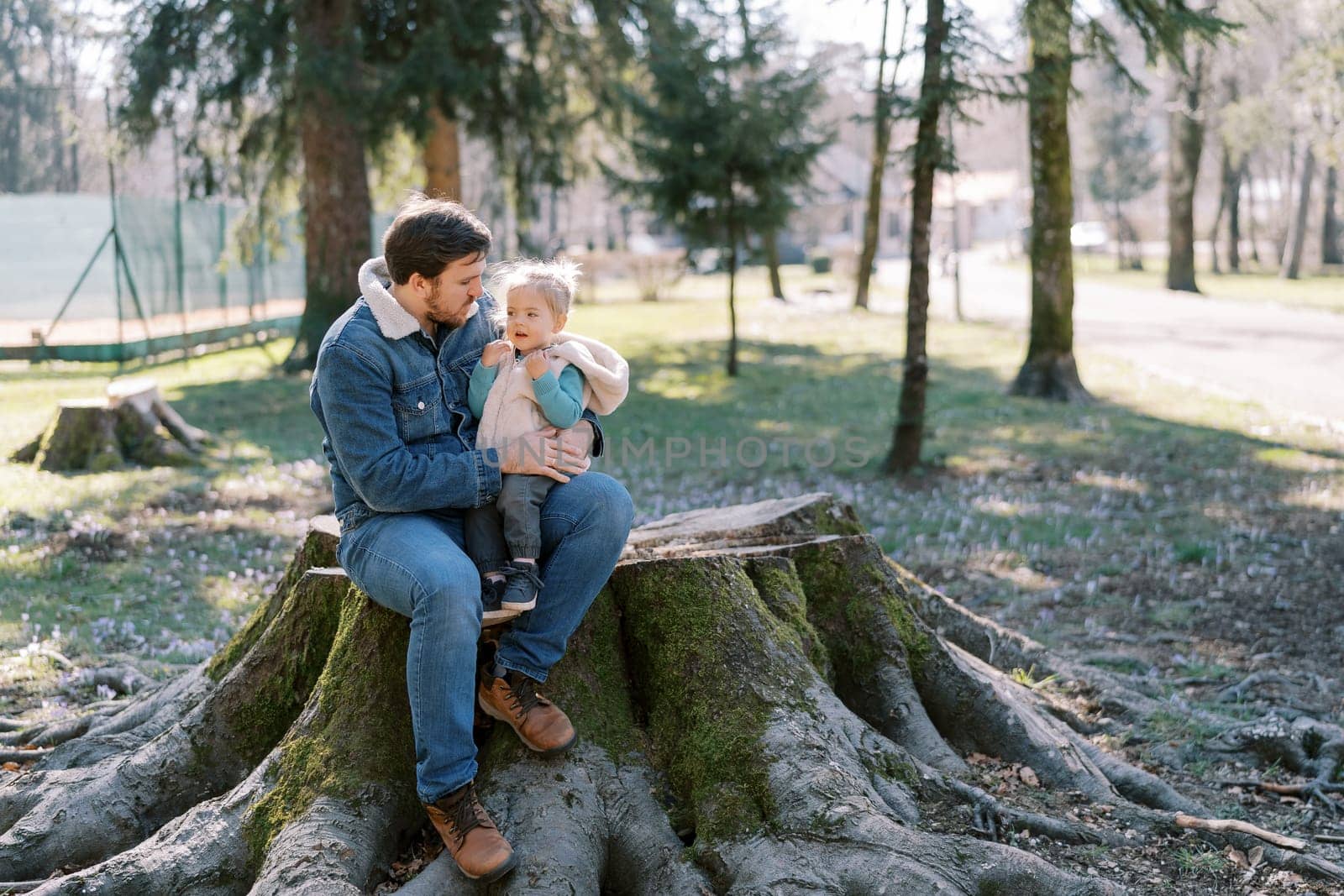 Dad with a little girl on his knees sits on a huge stump in a sunny spring park. High quality photo