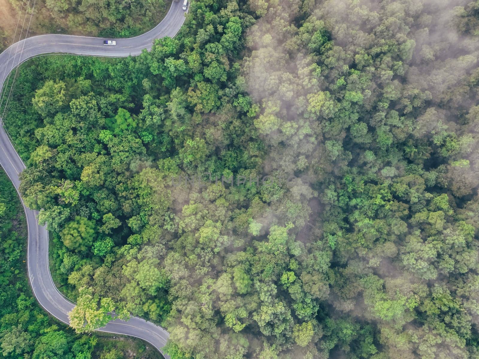 Aerial top view of green forest and highway road. Drone view of green trees and morning fog. Green trees background for carbon neutrality and net zero emissions concept. Sustainable green environment. by Fahroni