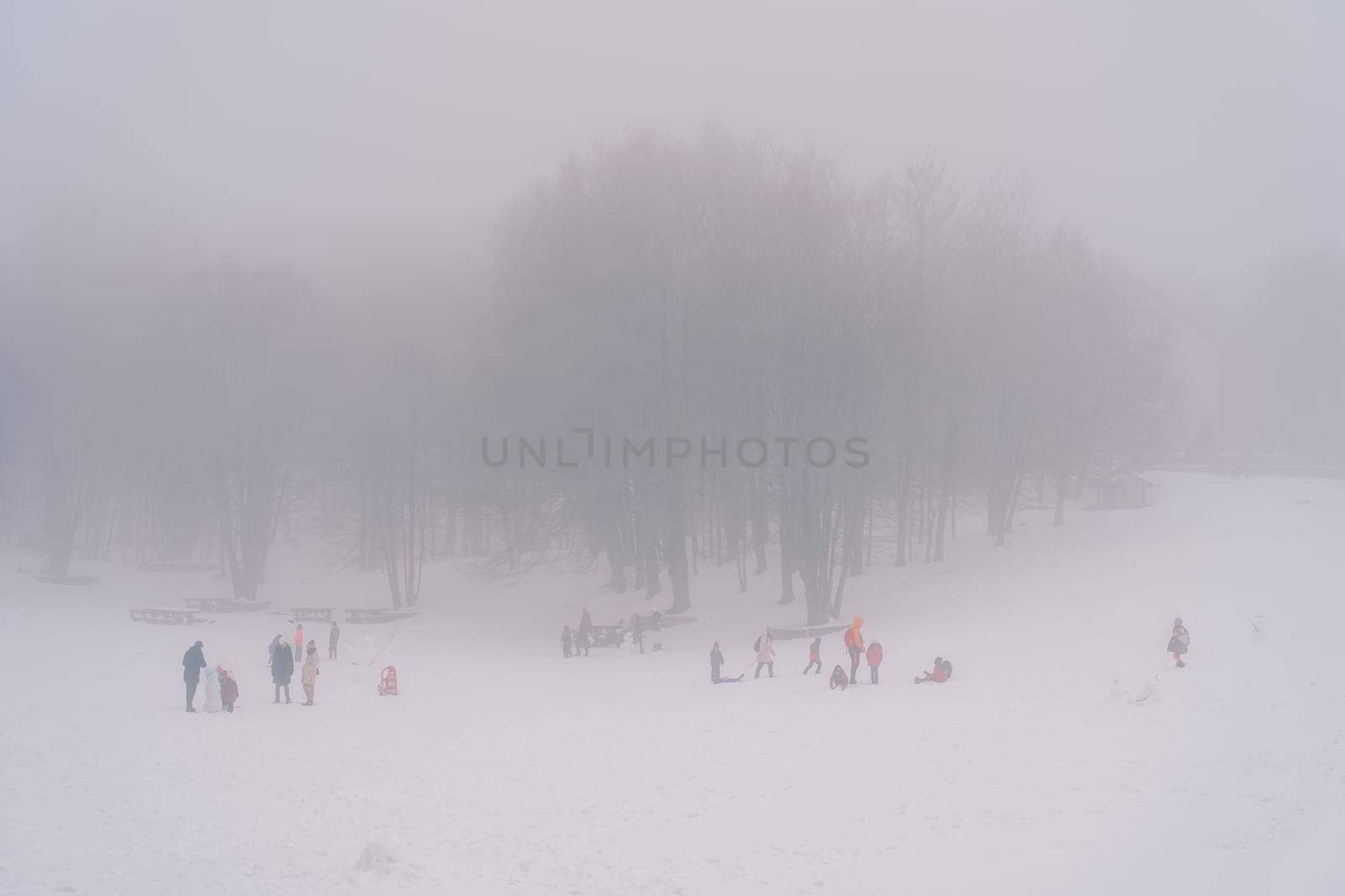 Skiers and lugers on a snow-covered foggy plain at the edge of the forest. High quality photo