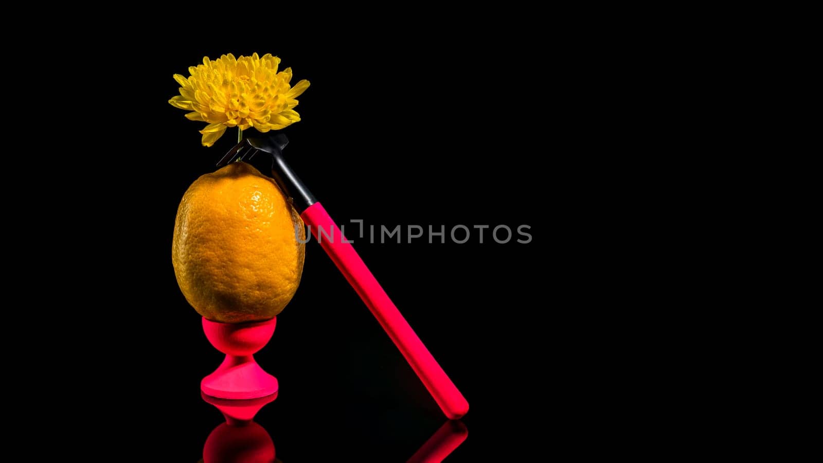 Creative still life with lemon and garden tools on a black background