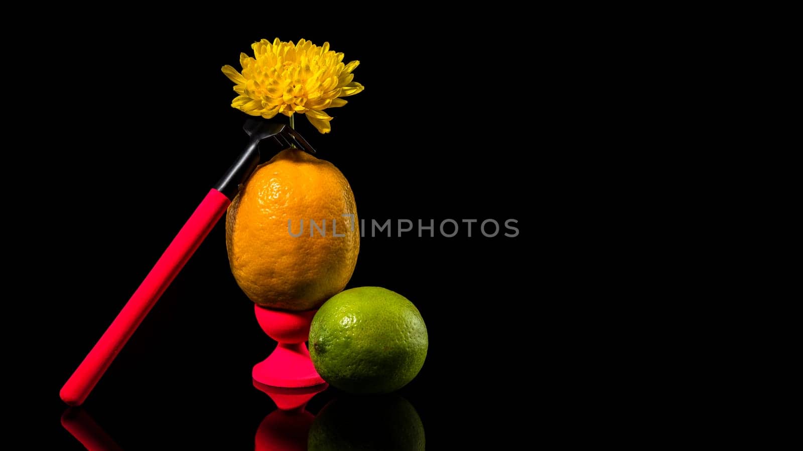 Creative still life with lemon, lime and garden tools on a black background