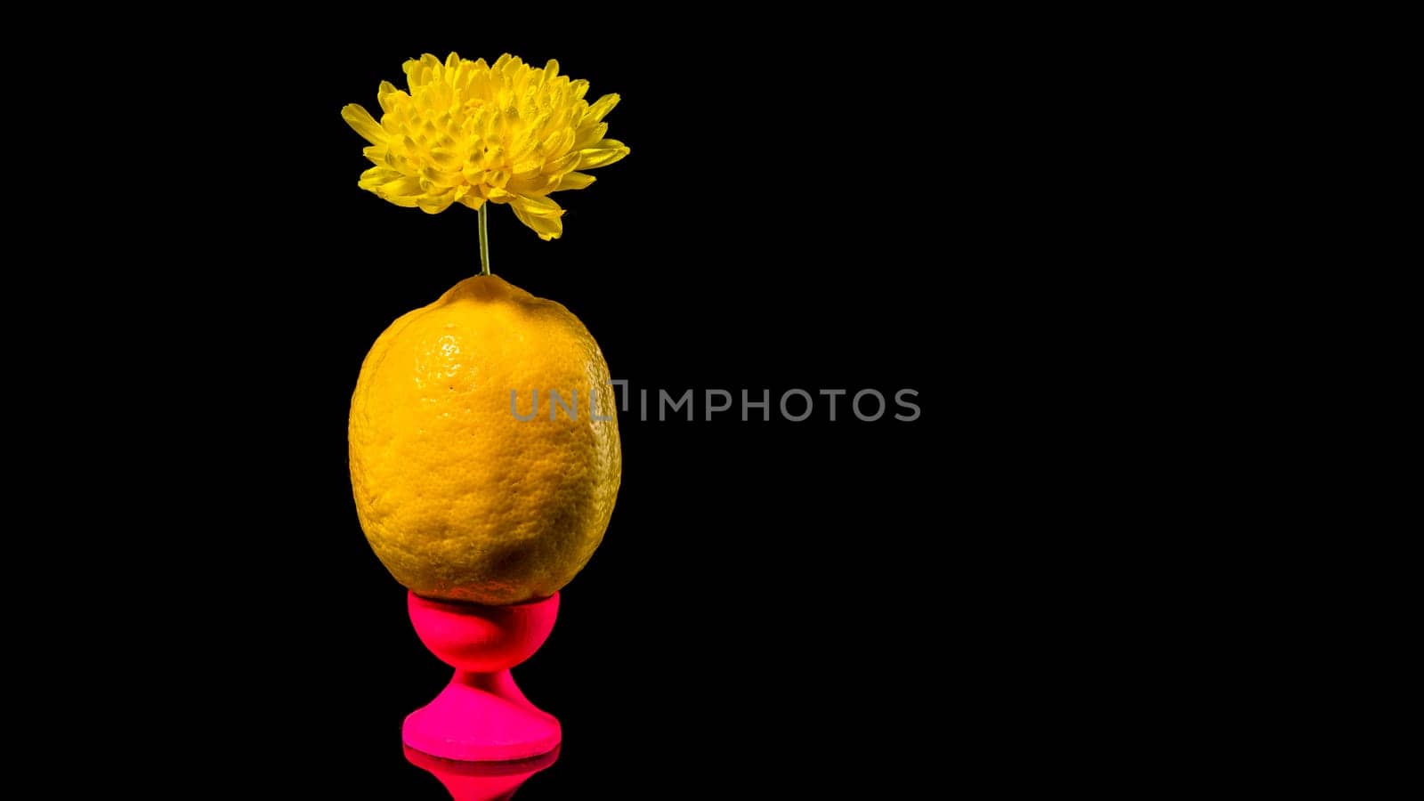 Creative still life with lemon and yellow flower on a black background