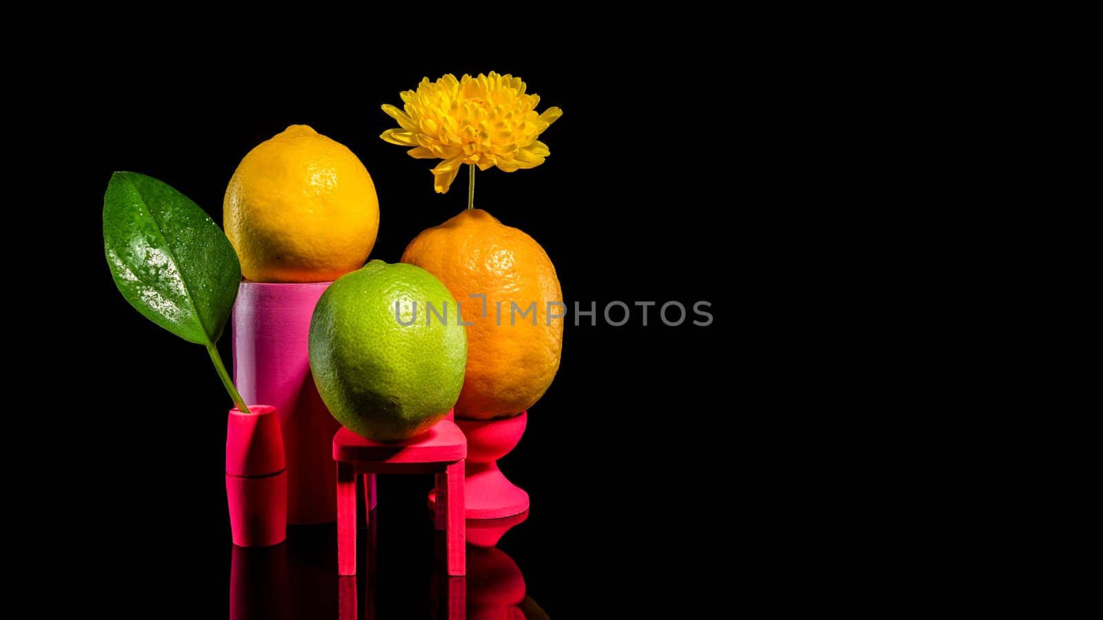 Creative still life with two lemons and lime on a black background. Family portrait.