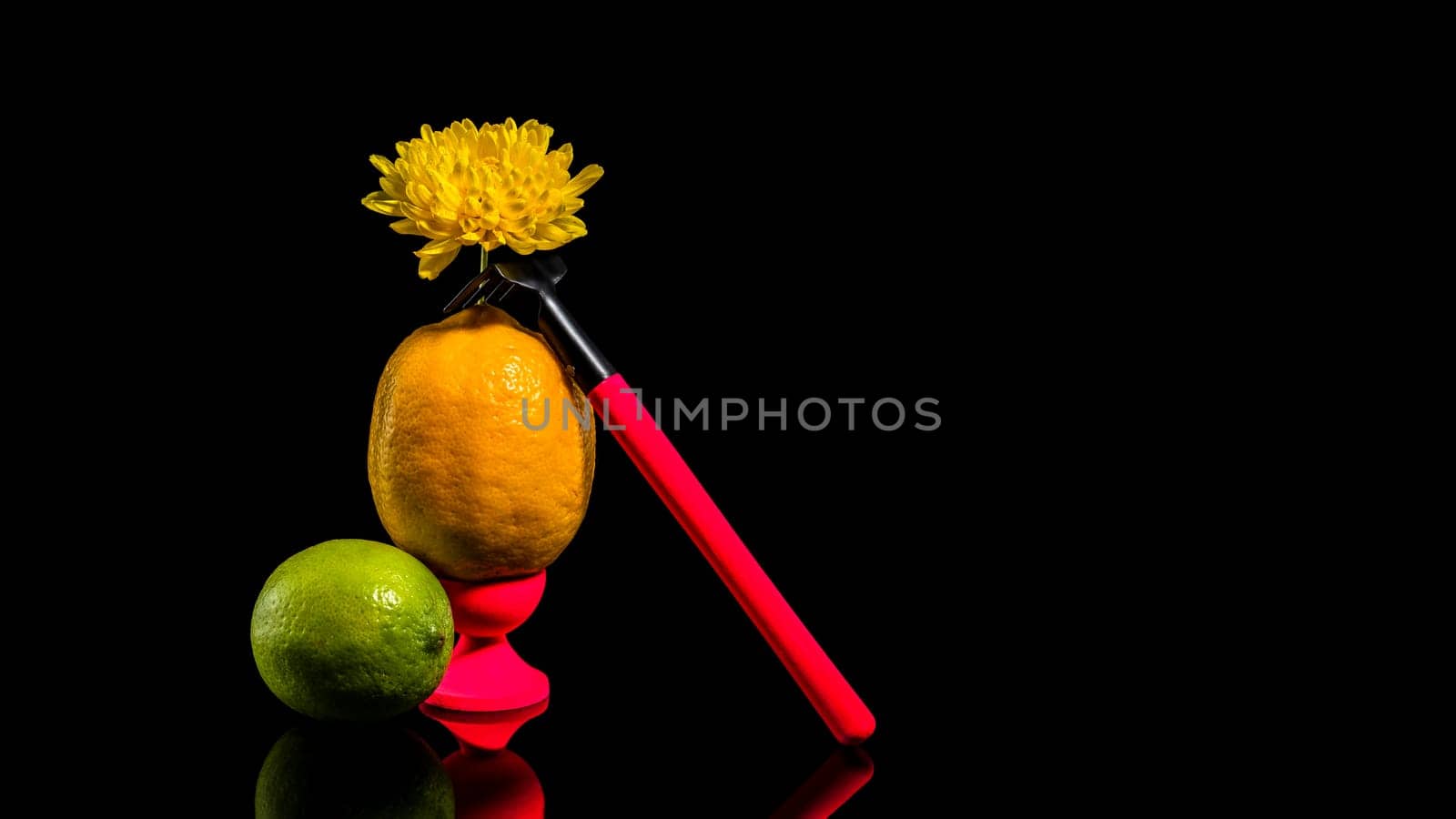 Creative still life with lemon and lime with yellow flower and rake on a black background