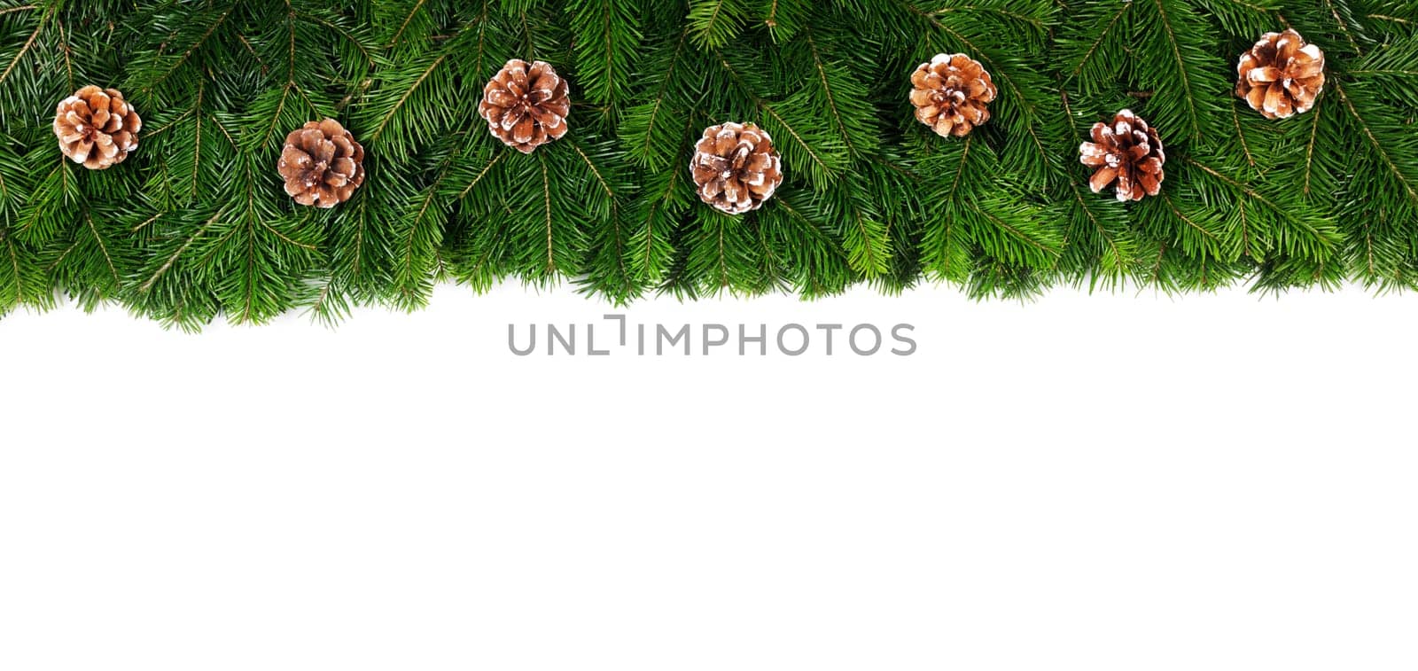 Winter and Christmas fir and cones composition isolated on white background with copy space