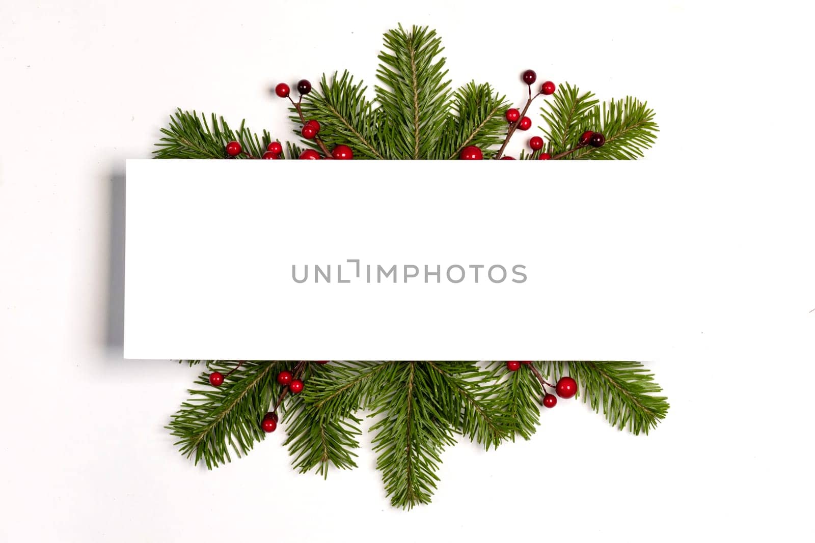 Christmas frame of tree branches by Yellowj