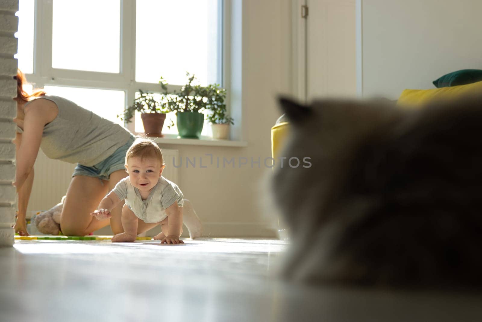 A baby crawling on the floor next to a cat