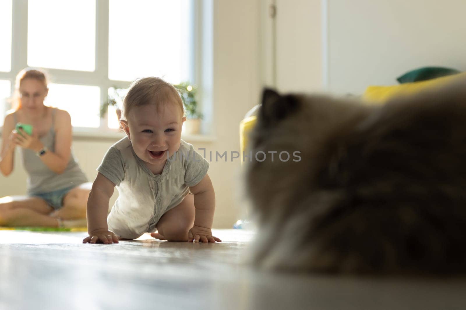 A baby crawling on the floor next to a cat