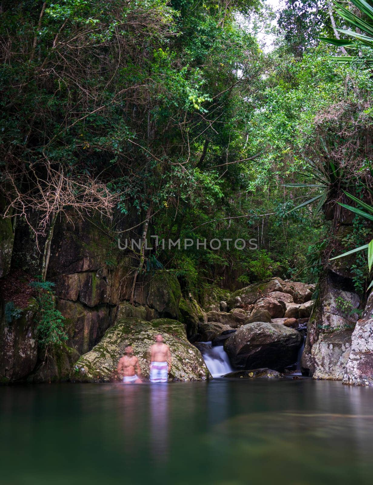 Two unknown people find tranquility in a jungle oasis, surrounded by lush greenery and a babbling creek.