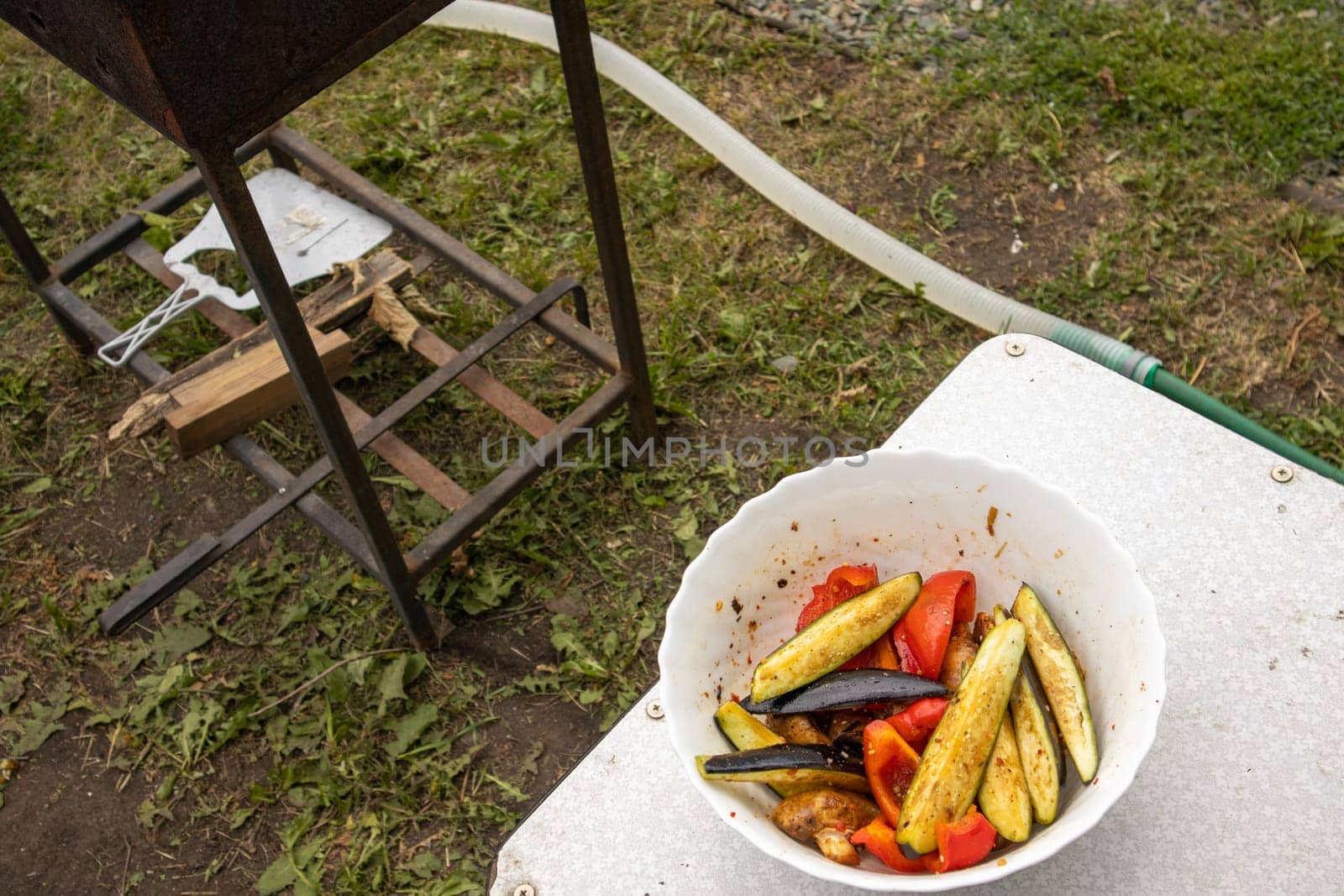 Delicious sliced grilled vegetables. Rustic background lawn and barbecue.